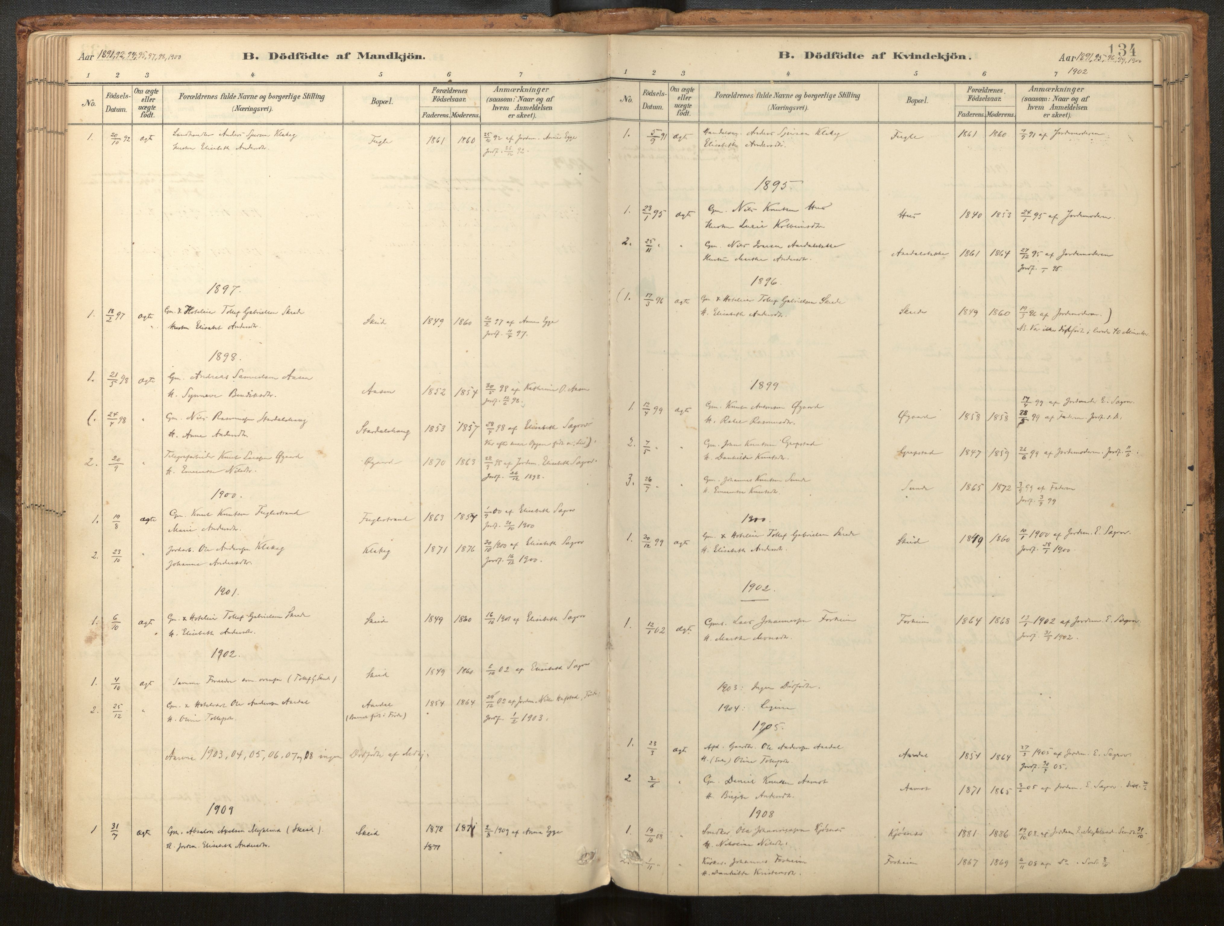 Jølster sokneprestembete, SAB/A-80701/H/Haa/Haac/L0001: Parish register (official) no. C 1, 1882-1928, p. 134