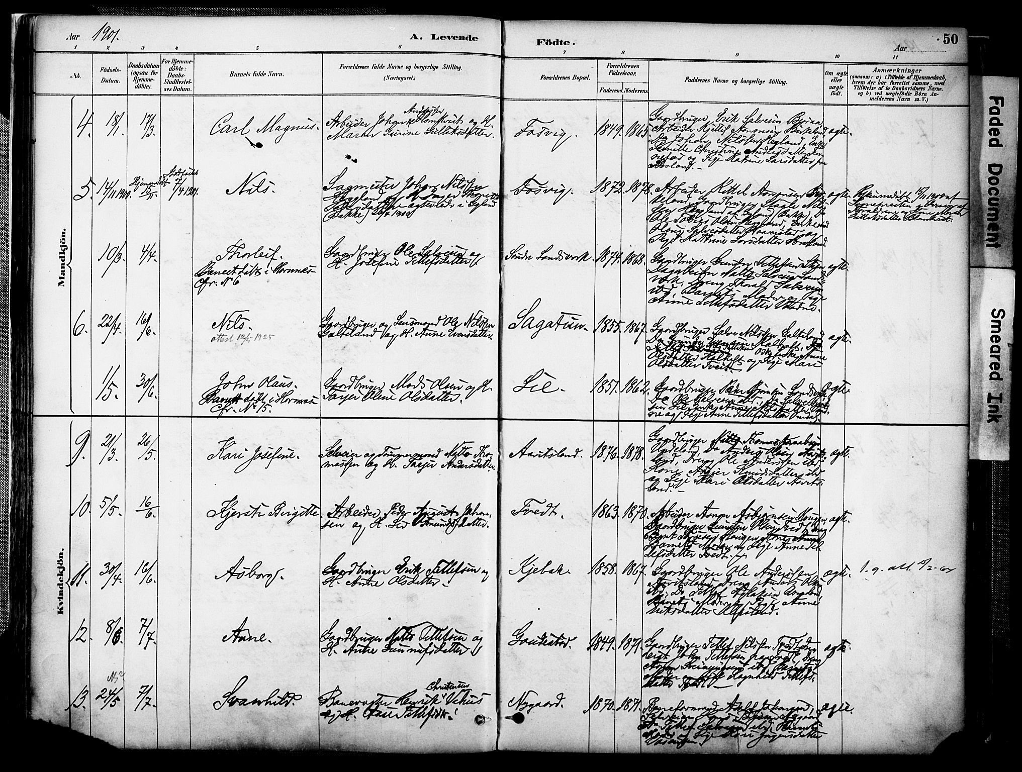 Evje sokneprestkontor, AV/SAK-1111-0008/F/Fa/Faa/L0007: Parish register (official) no. A 7, 1884-1909, p. 50