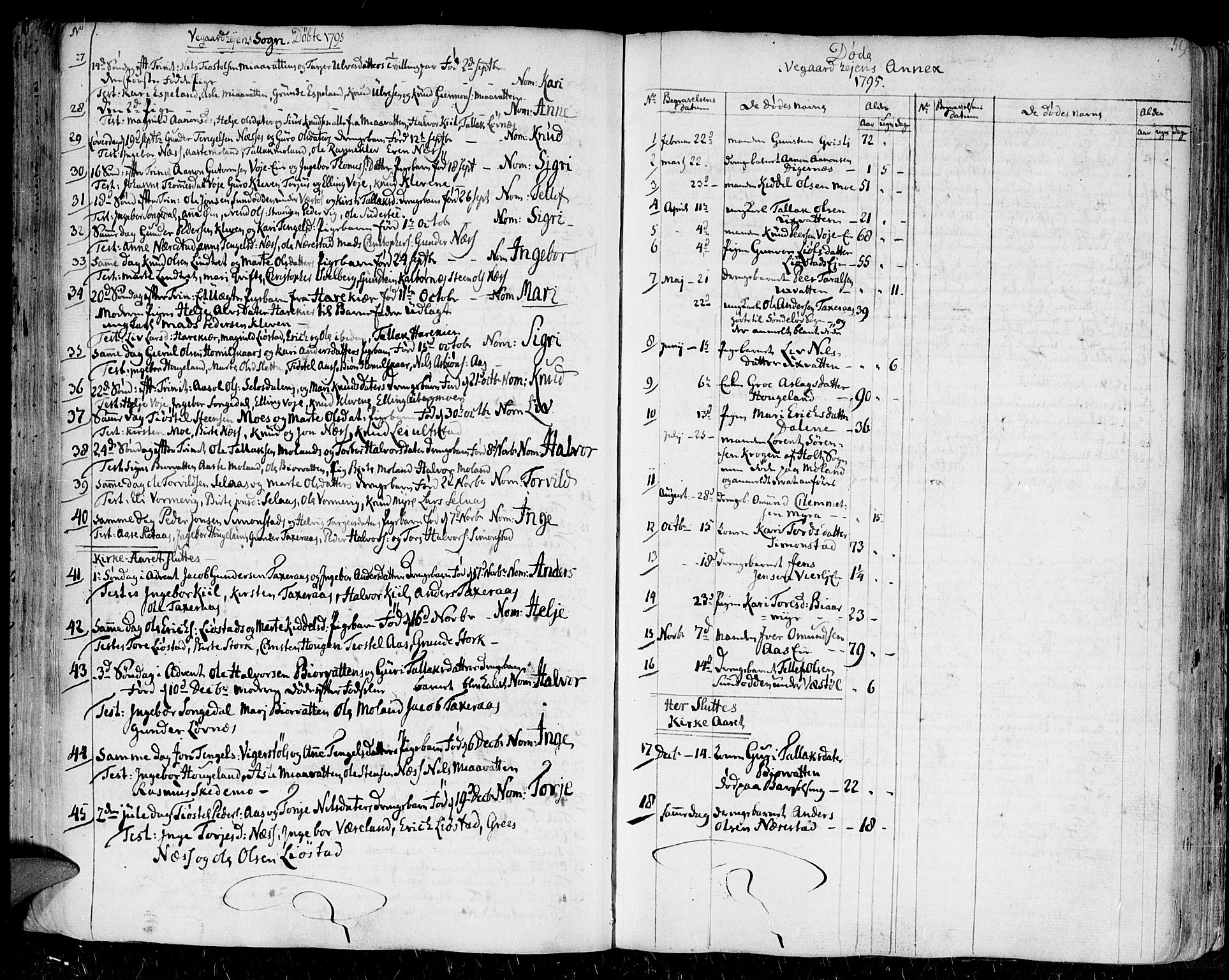 Gjerstad sokneprestkontor, AV/SAK-1111-0014/F/Fa/Faa/L0003: Parish register (official) no. A 3, 1780-1815, p. 59