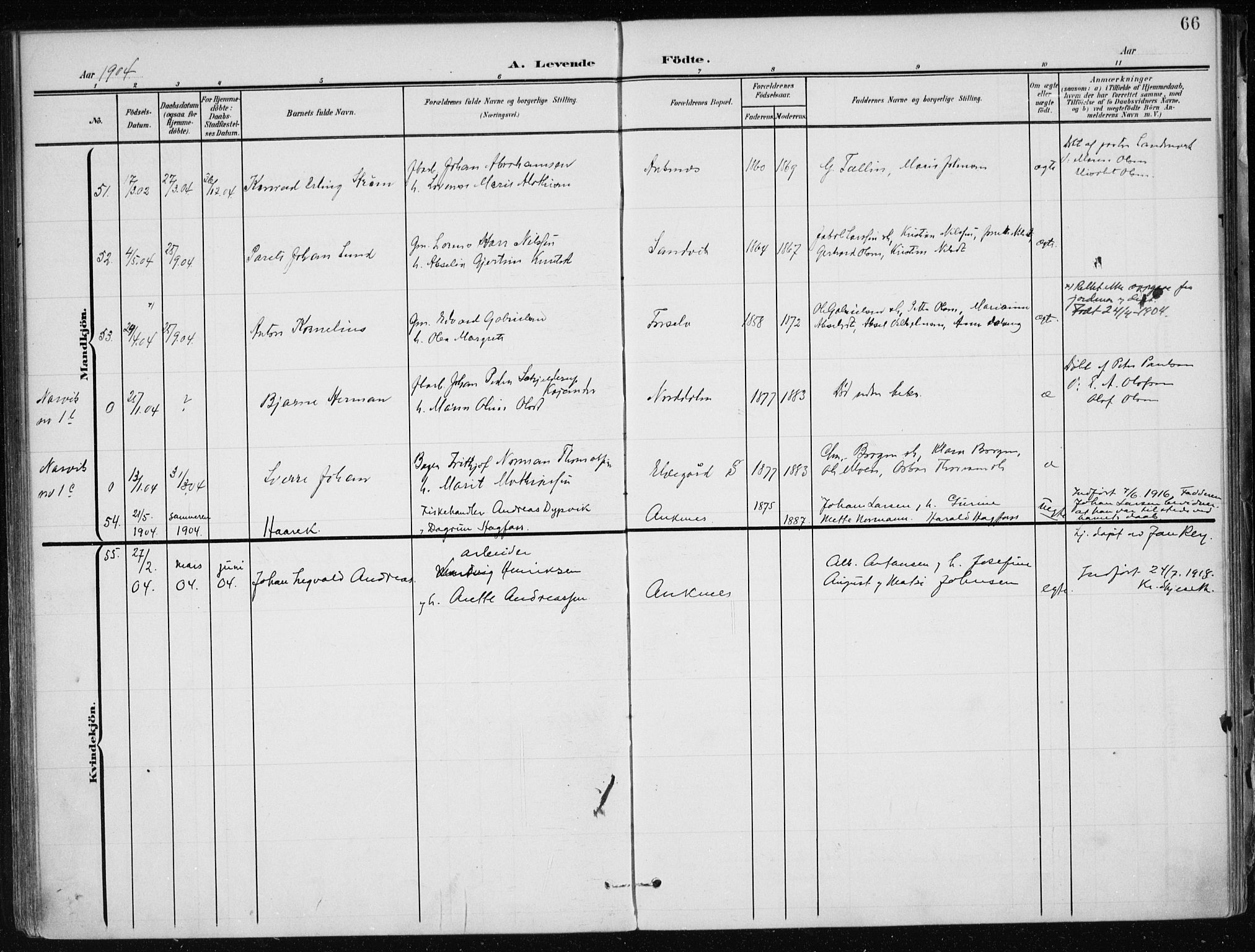Ministerialprotokoller, klokkerbøker og fødselsregistre - Nordland, SAT/A-1459/866/L0941: Parish register (official) no. 866A04, 1901-1917, p. 66