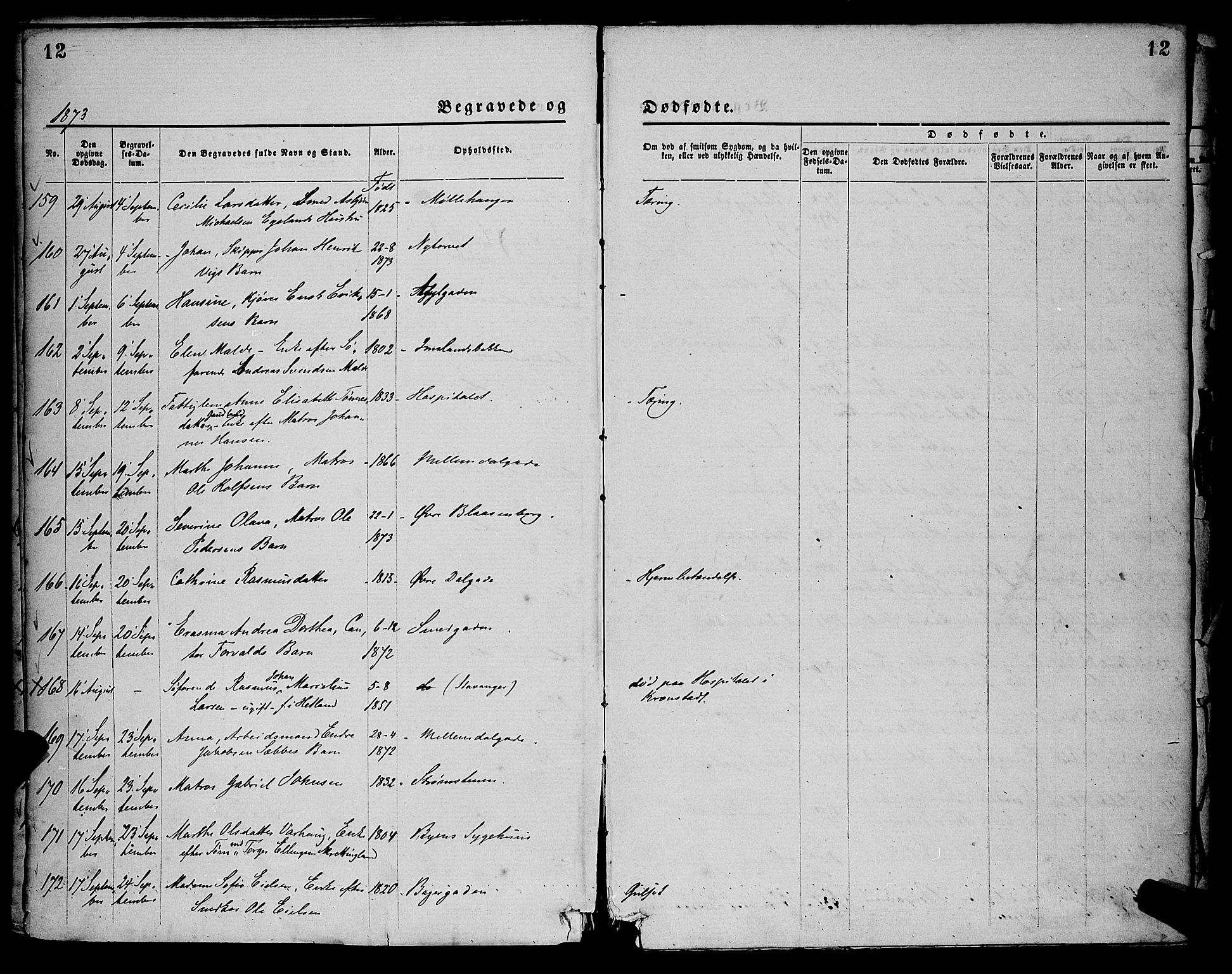 St. Petri sokneprestkontor, SAST/A-101813/001/30/30BA/L0012: Parish register (official) no. A 12, 1873-1878, p. 12