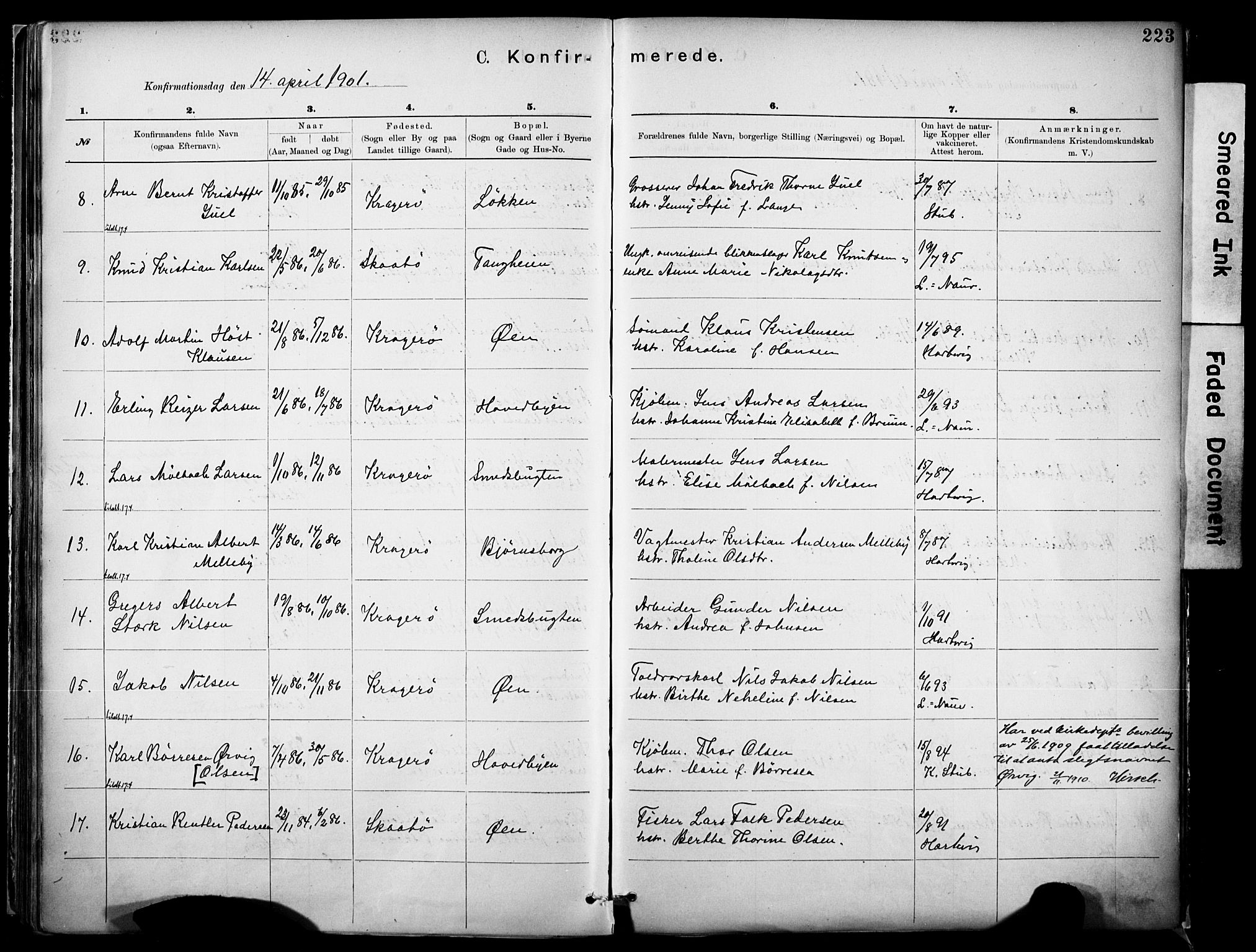 Kragerø kirkebøker, SAKO/A-278/F/Fa/L0012: Parish register (official) no. 12, 1880-1904, p. 223
