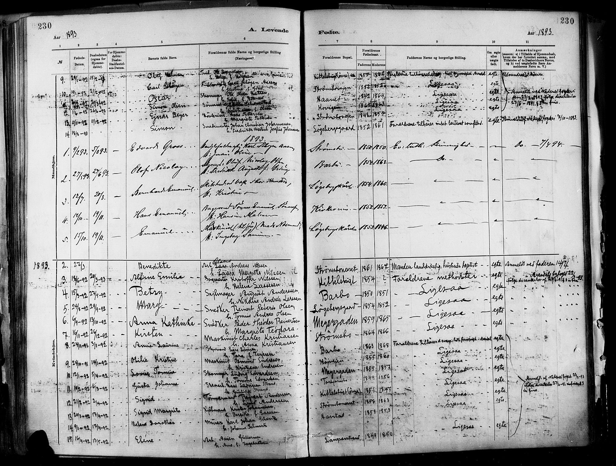 Barbu sokneprestkontor, SAK/1111-0003/F/Fa/L0002: Parish register (official) no. A 2, 1883-1898, p. 230