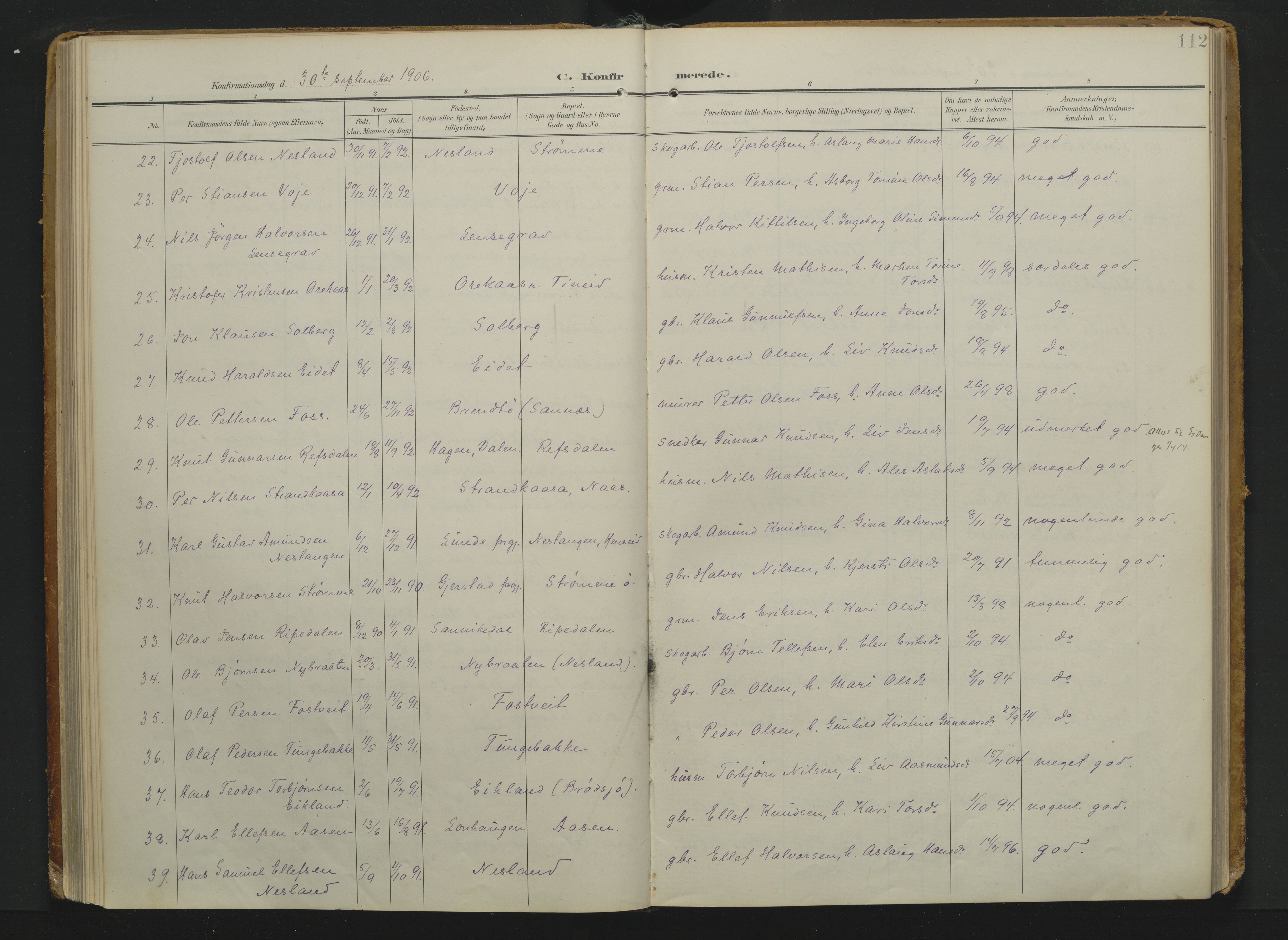 Drangedal kirkebøker, AV/SAKO-A-258/F/Fa/L0014: Parish register (official) no. 14, 1906-1920, p. 112