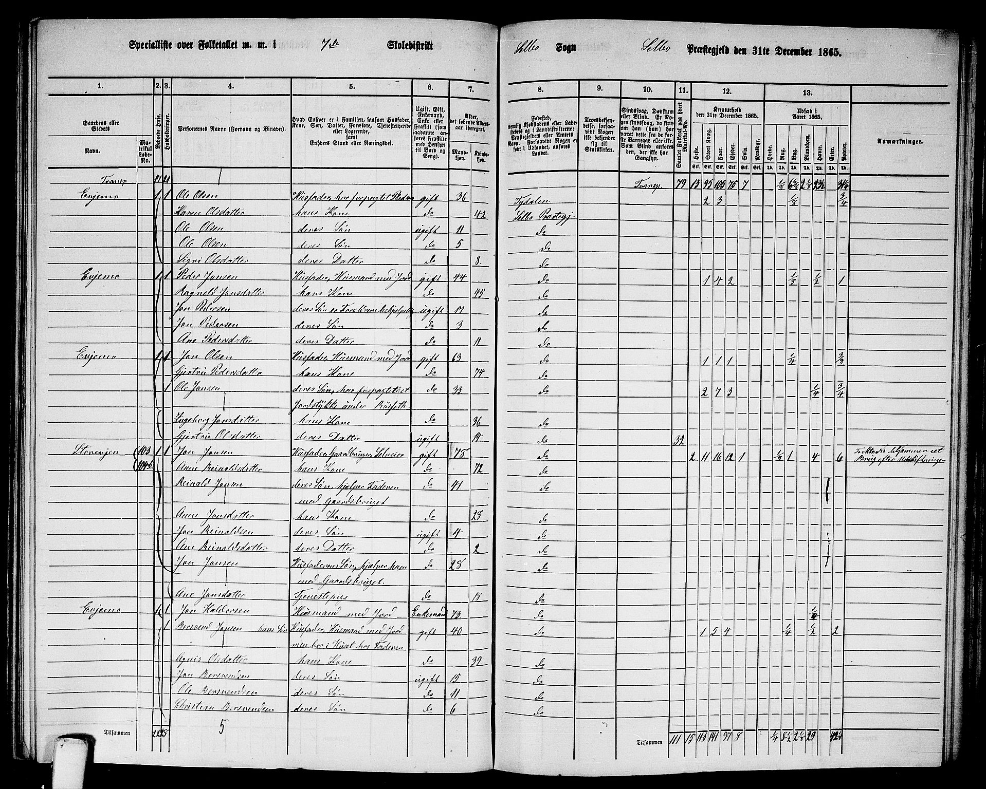 RA, 1865 census for Selbu, 1865, p. 119