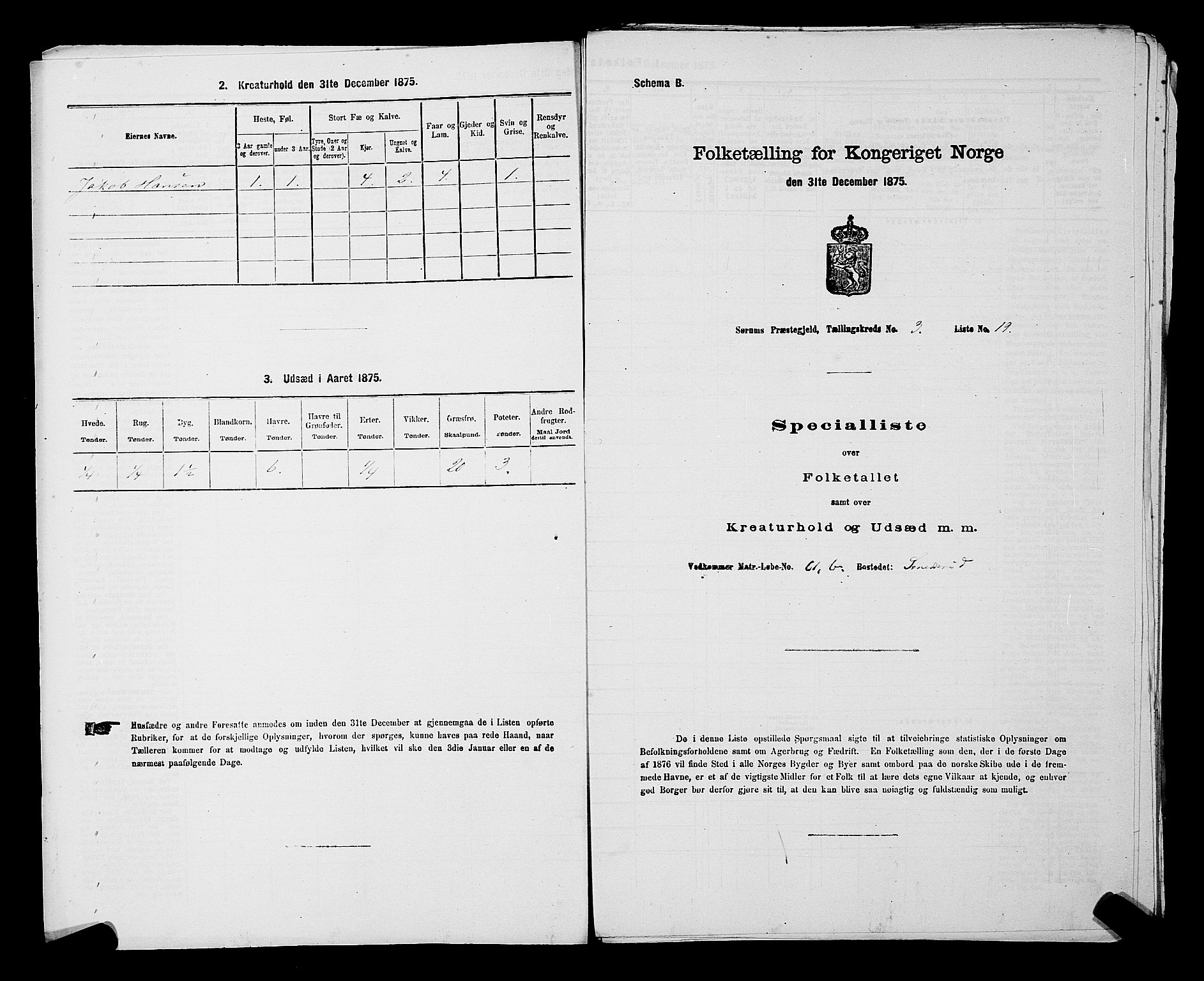 RA, 1875 census for 0226P Sørum, 1875, p. 317