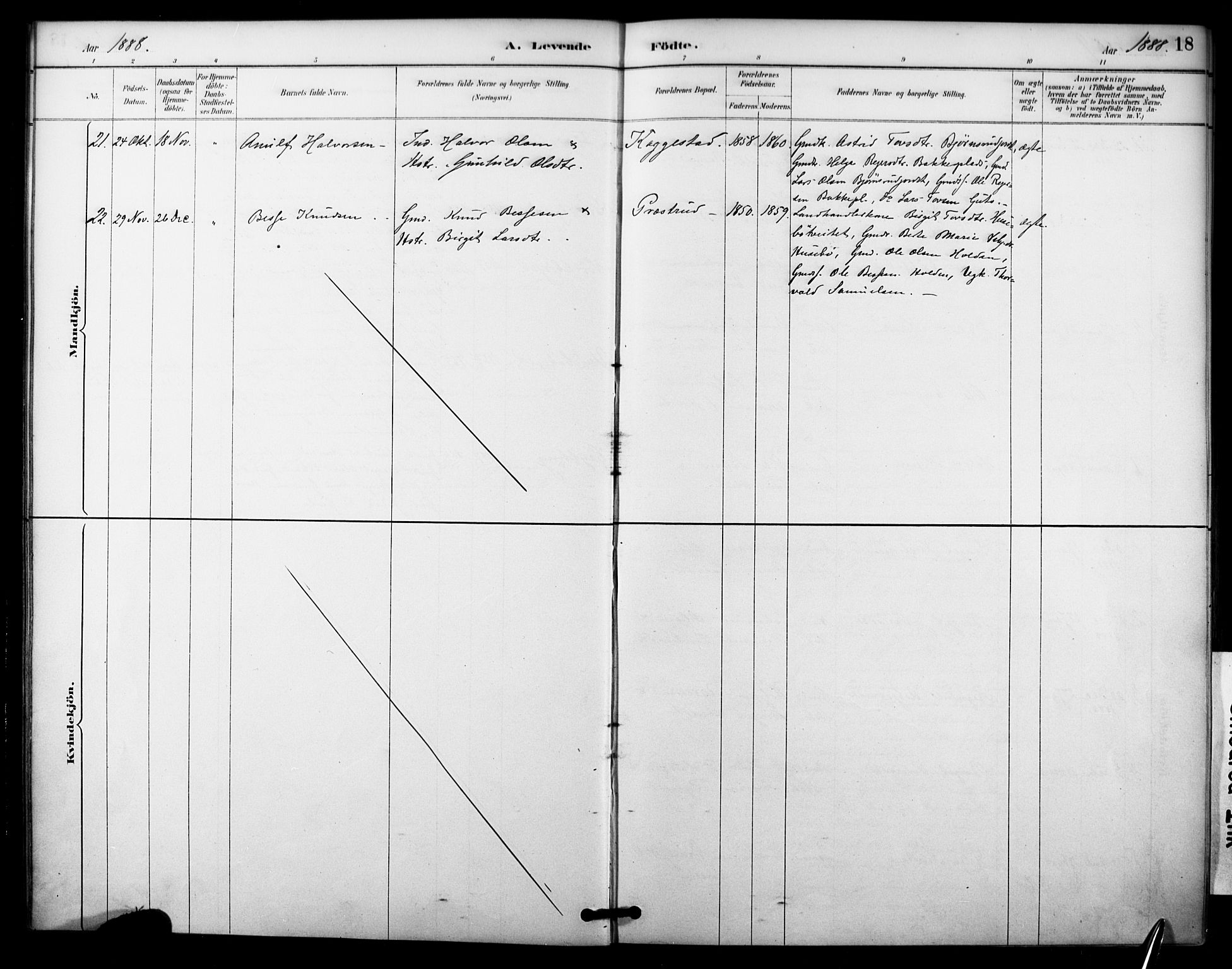 Nore kirkebøker, SAKO/A-238/F/Fc/L0004: Parish register (official) no. III 4, 1885-1898, p. 18