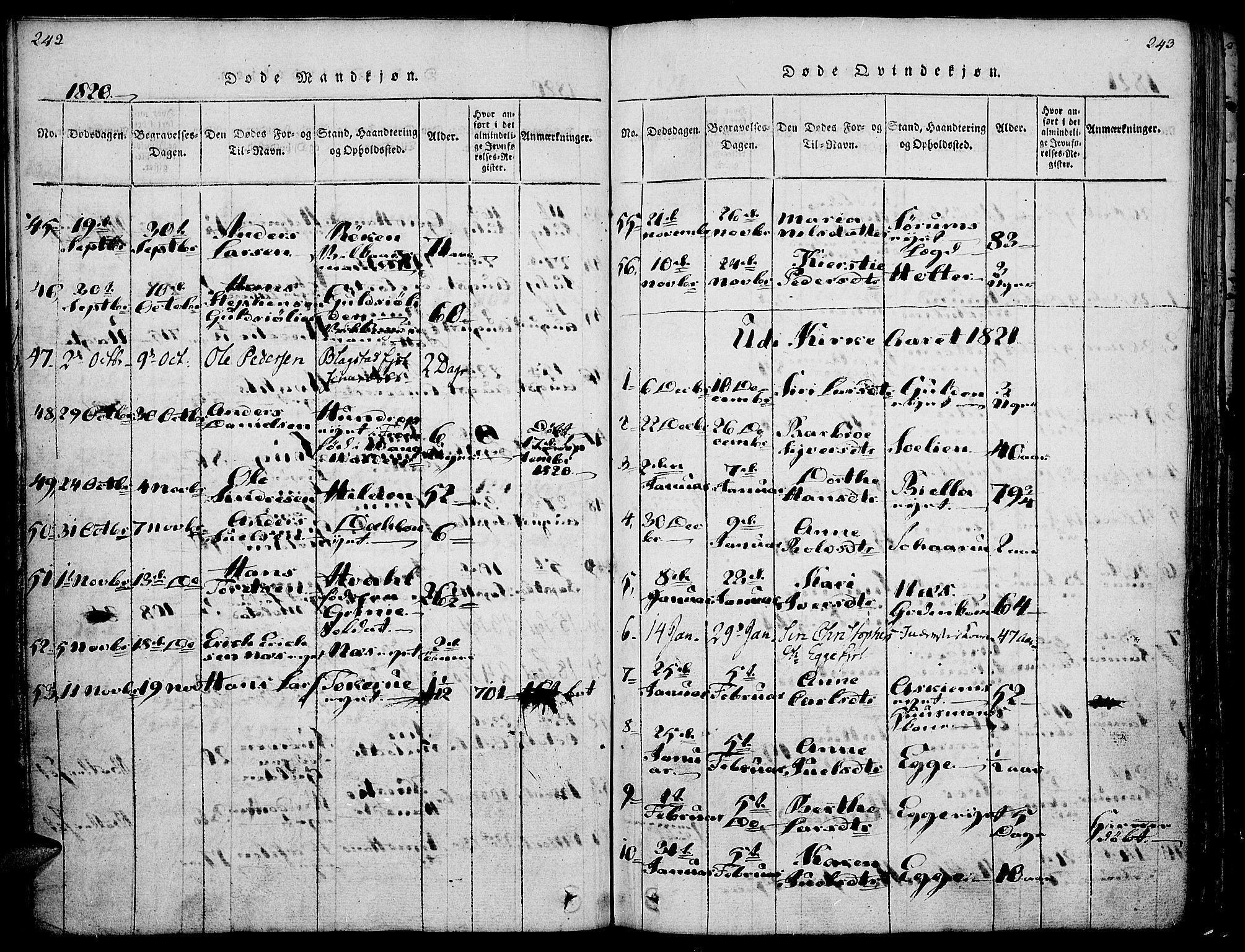 Gran prestekontor, SAH/PREST-112/H/Ha/Haa/L0009: Parish register (official) no. 9, 1815-1824, p. 242-243