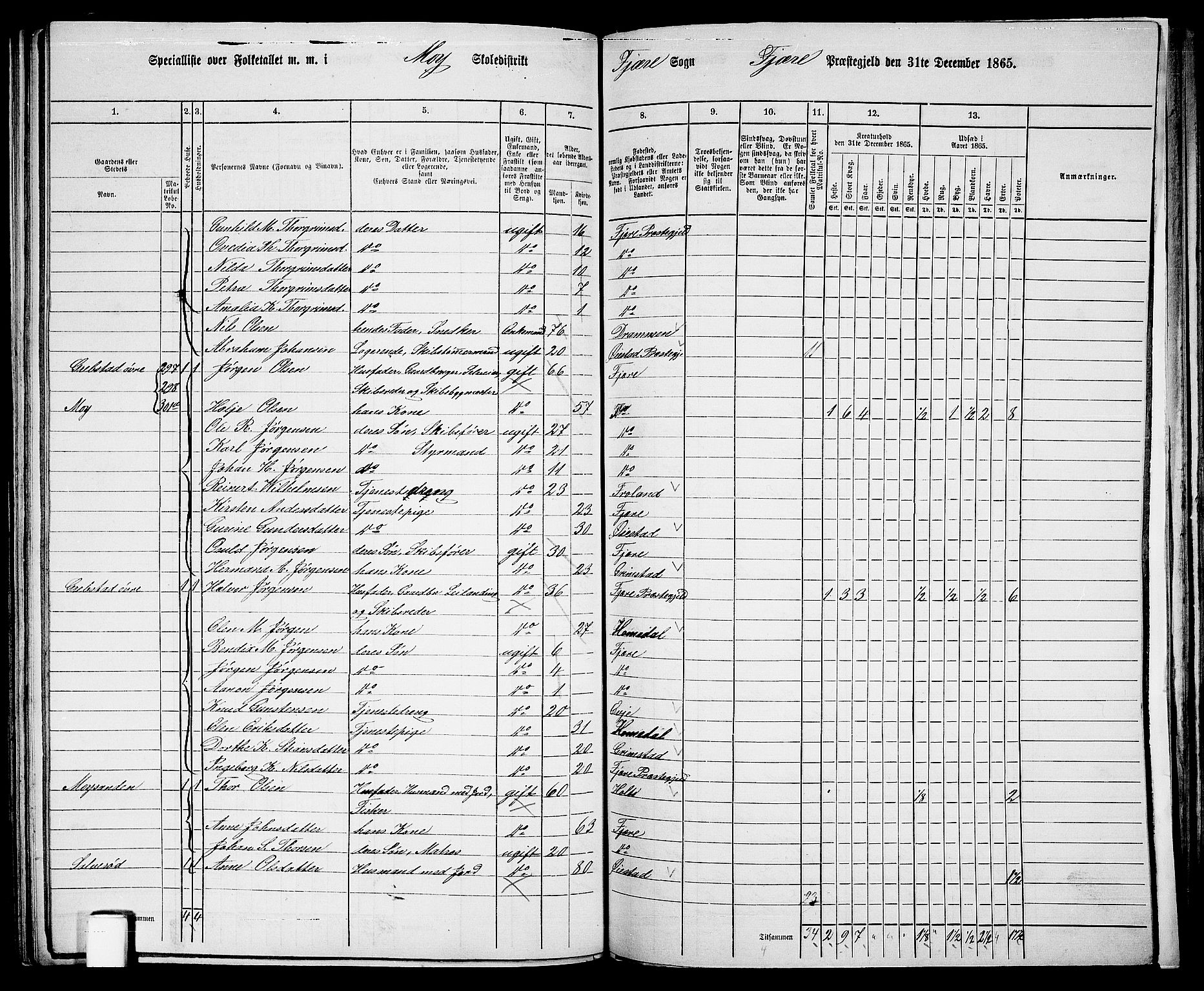 RA, 1865 census for Fjære/Fjære, 1865, p. 114