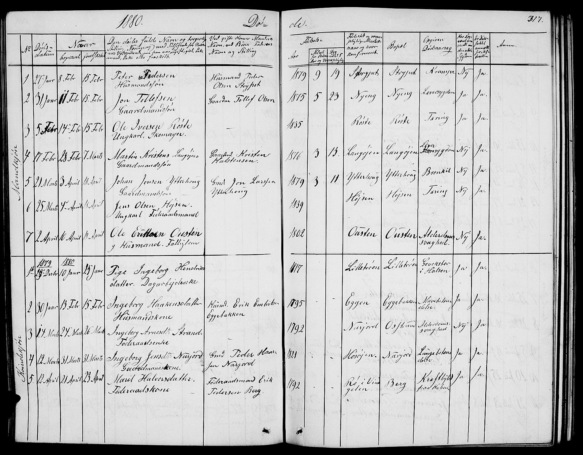 Tolga prestekontor, AV/SAH-PREST-062/L/L0004: Parish register (copy) no. 4, 1845-1887, p. 317