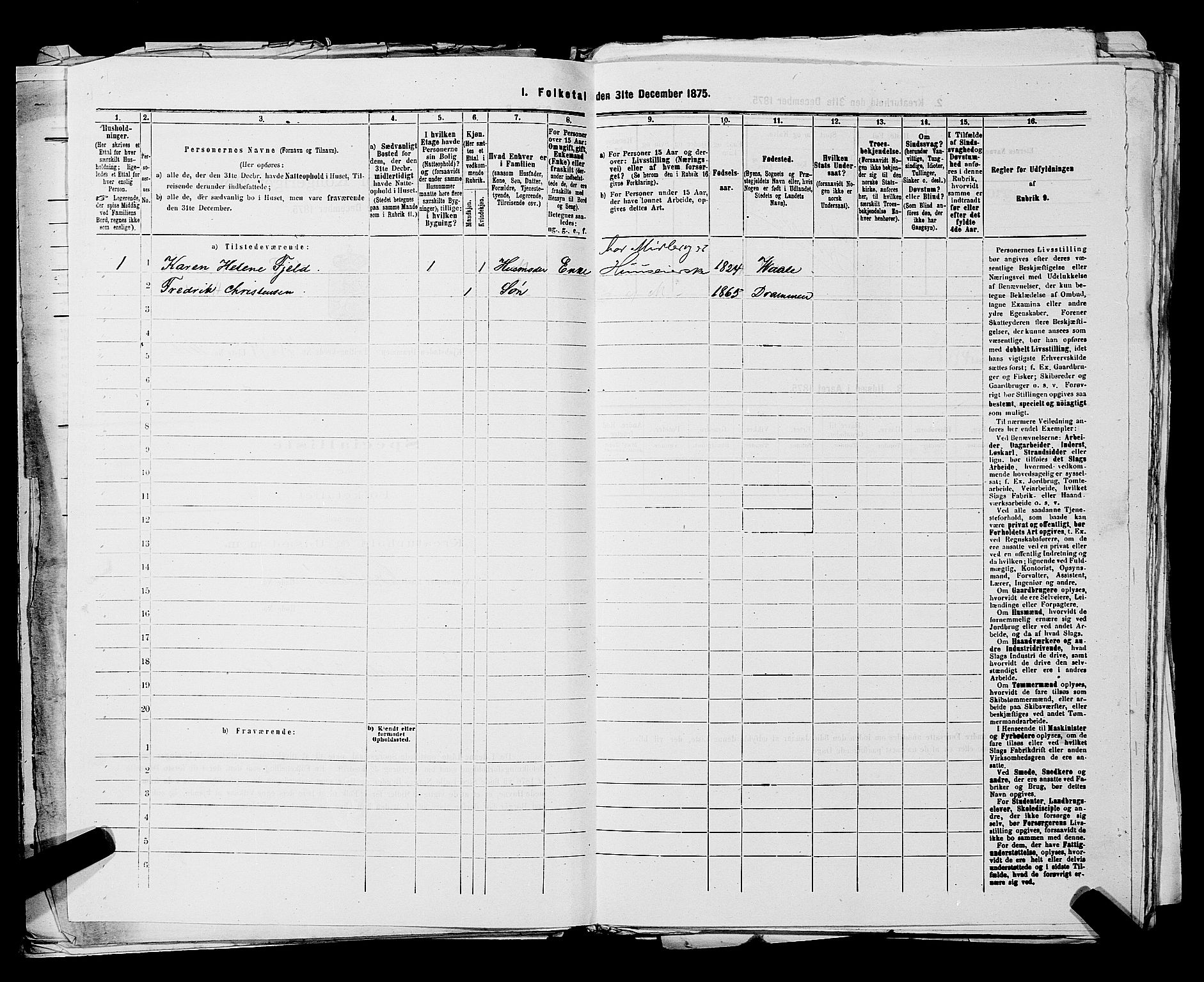 SAKO, 1875 census for 0602 Drammen, 1875, p. 3058