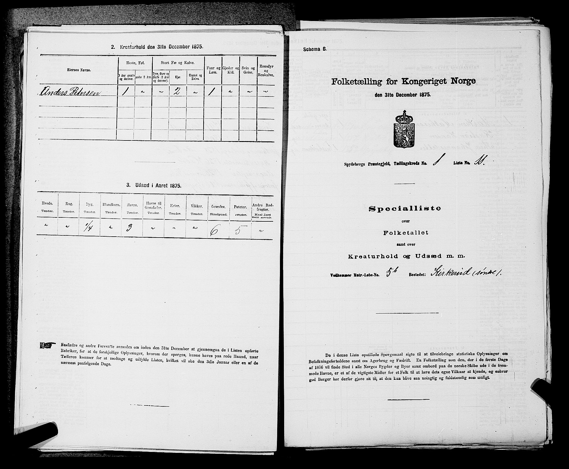 RA, 1875 census for 0123P Spydeberg, 1875, p. 65