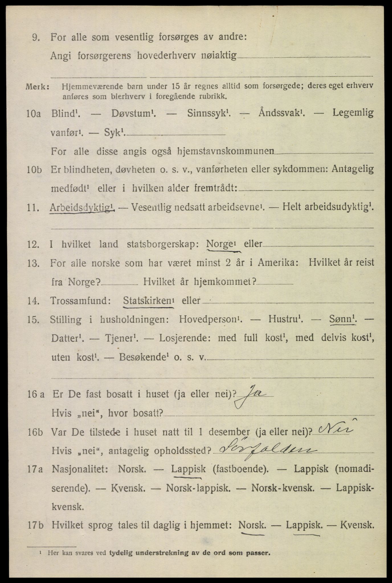 SAT, 1920 census for Bodin, 1920, p. 9309