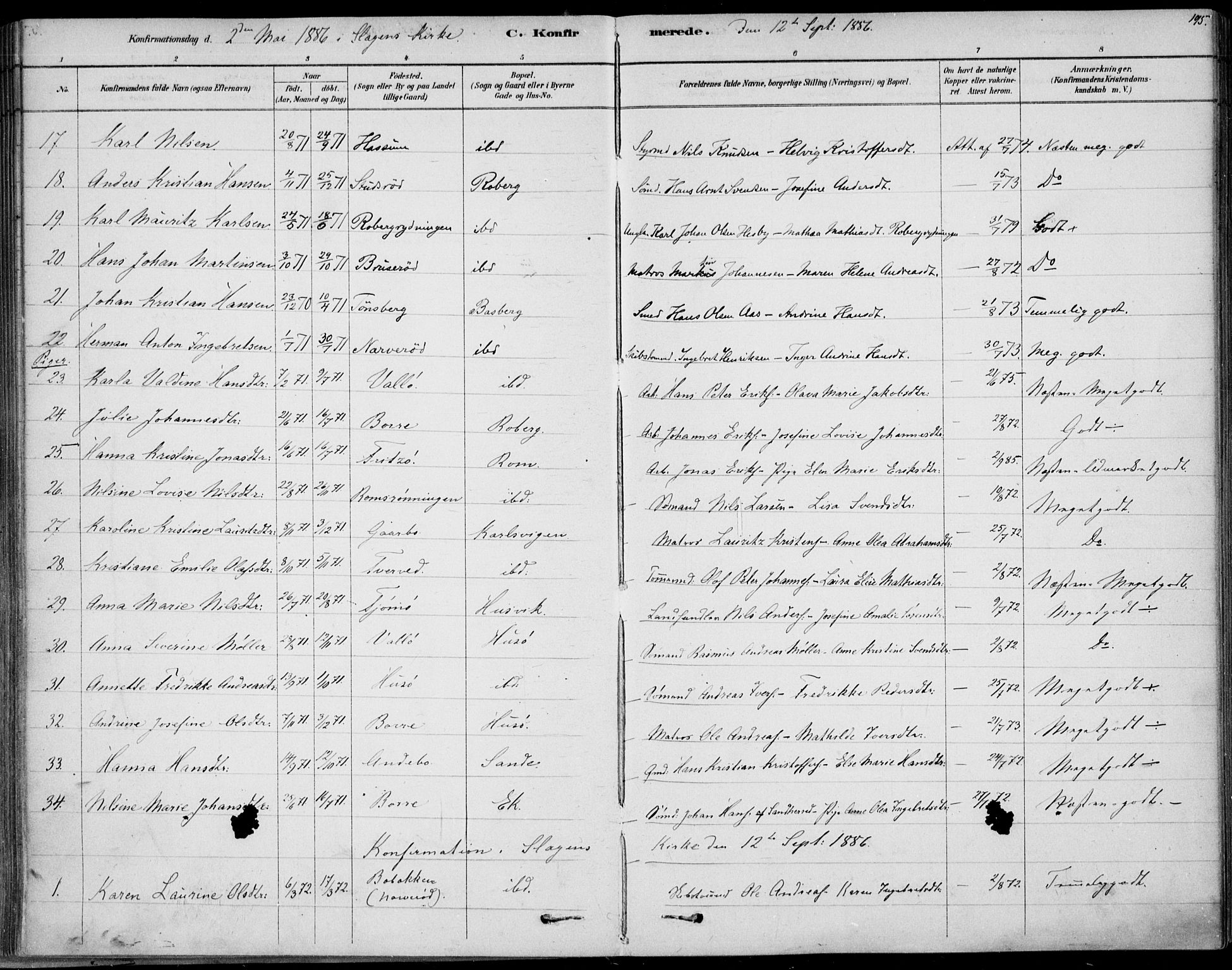 Sem kirkebøker, AV/SAKO-A-5/F/Fb/L0004: Parish register (official) no. II 4, 1878-1891, p. 195