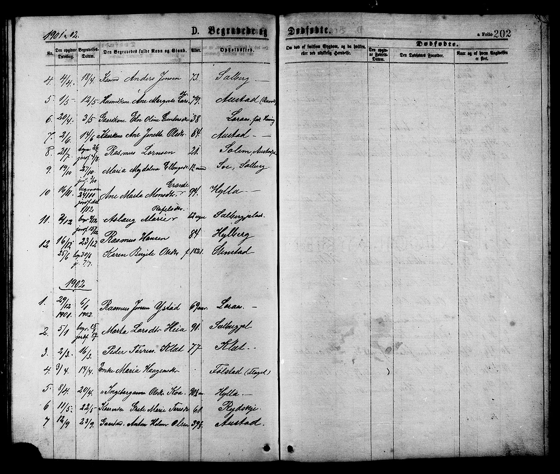Ministerialprotokoller, klokkerbøker og fødselsregistre - Nord-Trøndelag, SAT/A-1458/731/L0311: Parish register (copy) no. 731C02, 1875-1911, p. 202