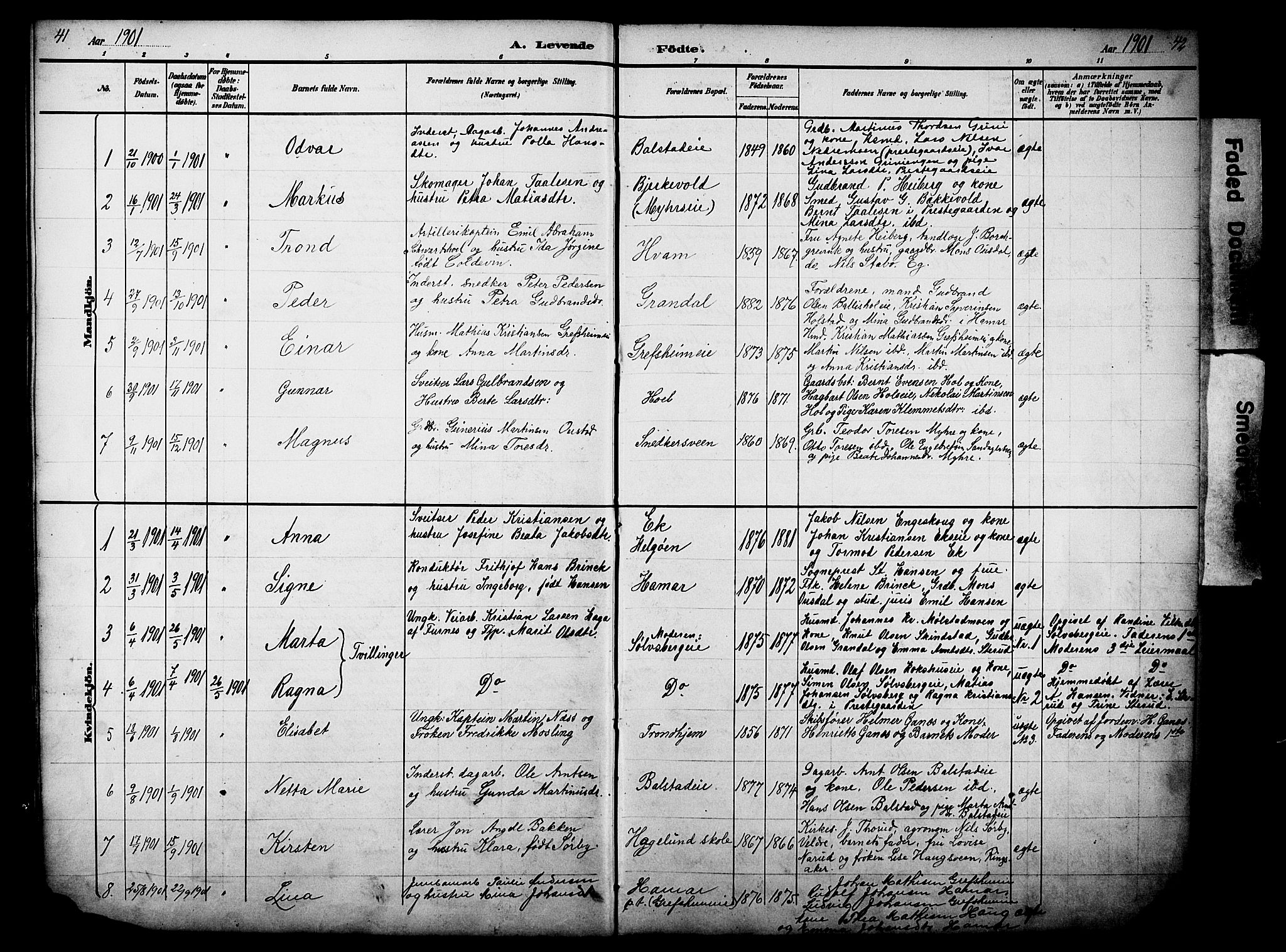 Nes prestekontor, Hedmark, AV/SAH-PREST-020/L/La/L0006: Parish register (copy) no. 6, 1890-1932, p. 41-42