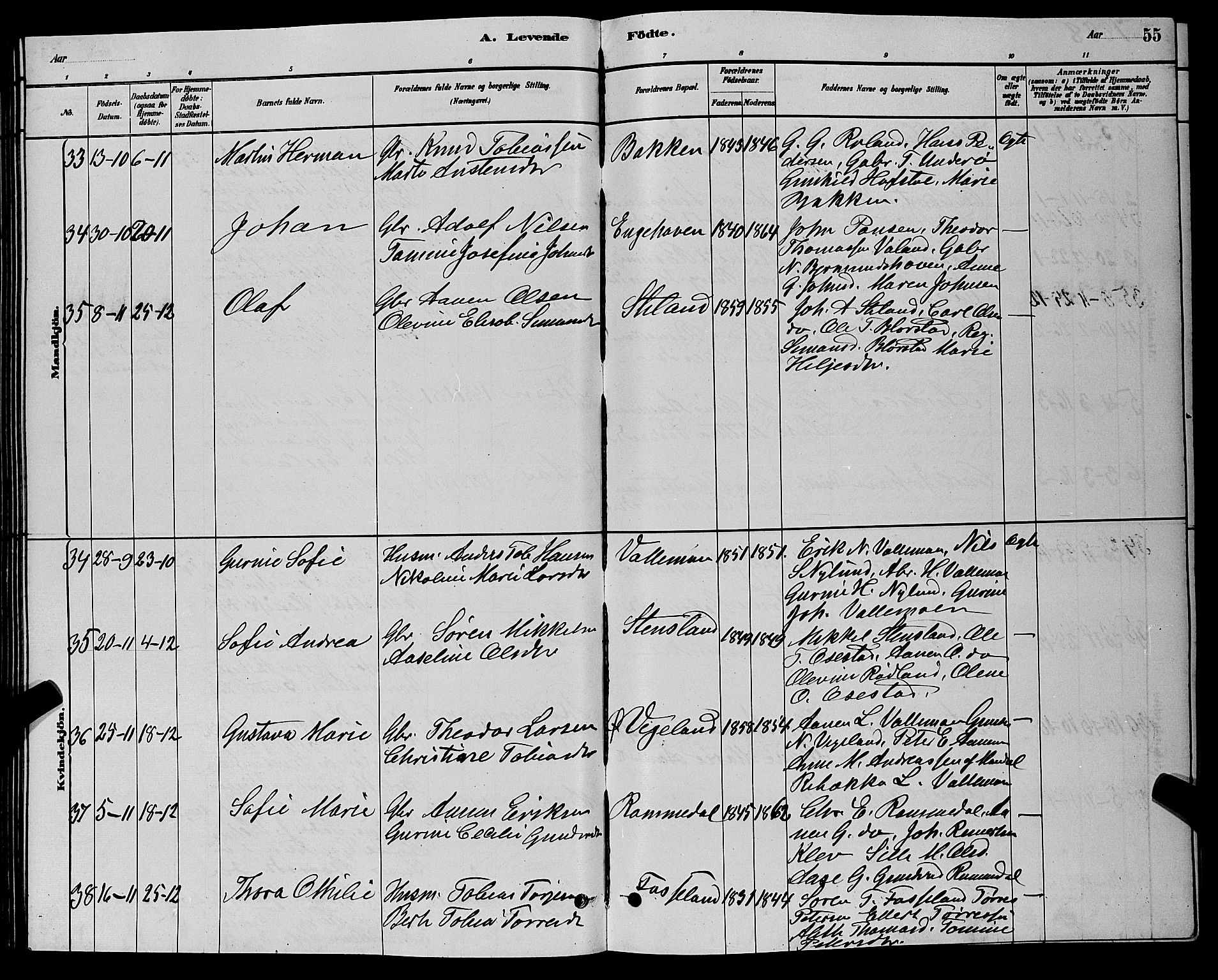 Sør-Audnedal sokneprestkontor, AV/SAK-1111-0039/F/Fb/Fbb/L0005: Parish register (copy) no. B 5, 1880-1892, p. 55