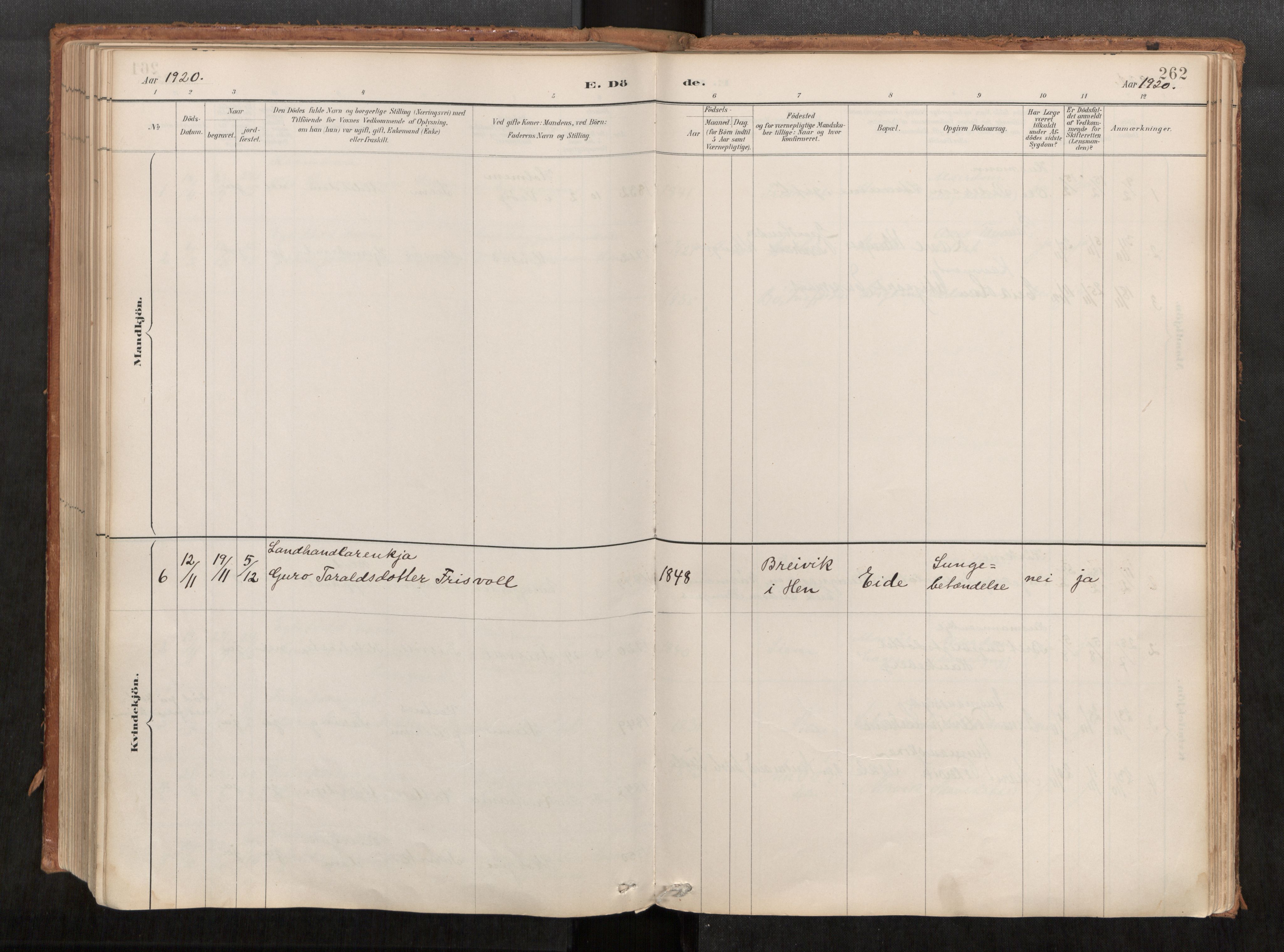 Ministerialprotokoller, klokkerbøker og fødselsregistre - Møre og Romsdal, AV/SAT-A-1454/542/L0553: Parish register (official) no. 542A03, 1885-1925, p. 262