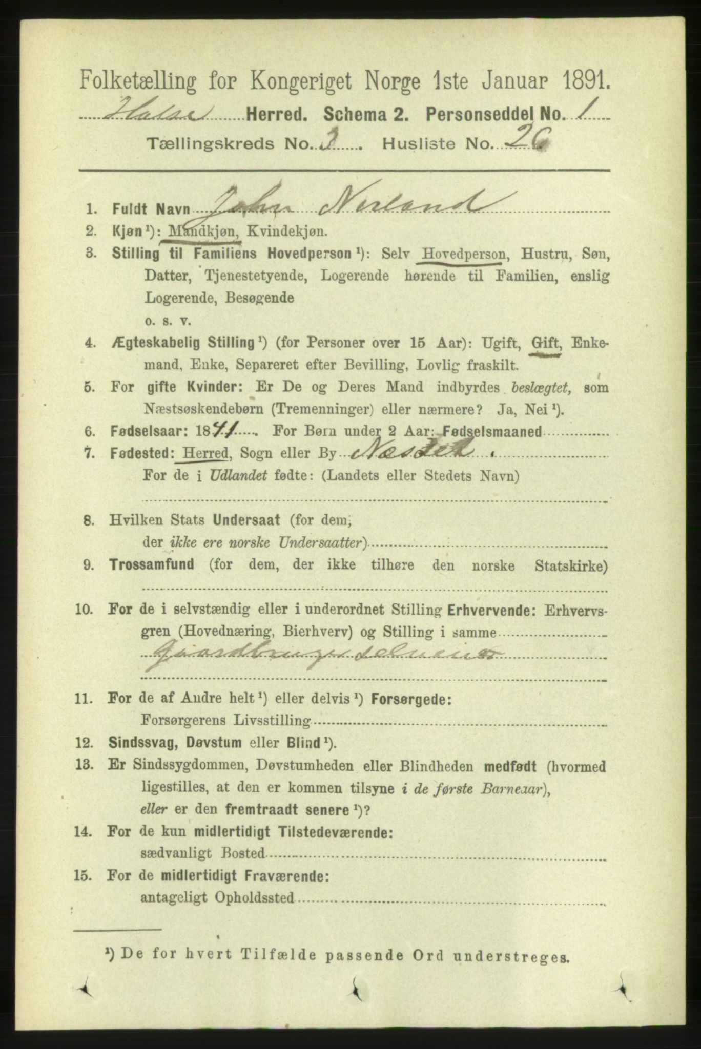 RA, 1891 census for 1571 Halsa, 1891, p. 699