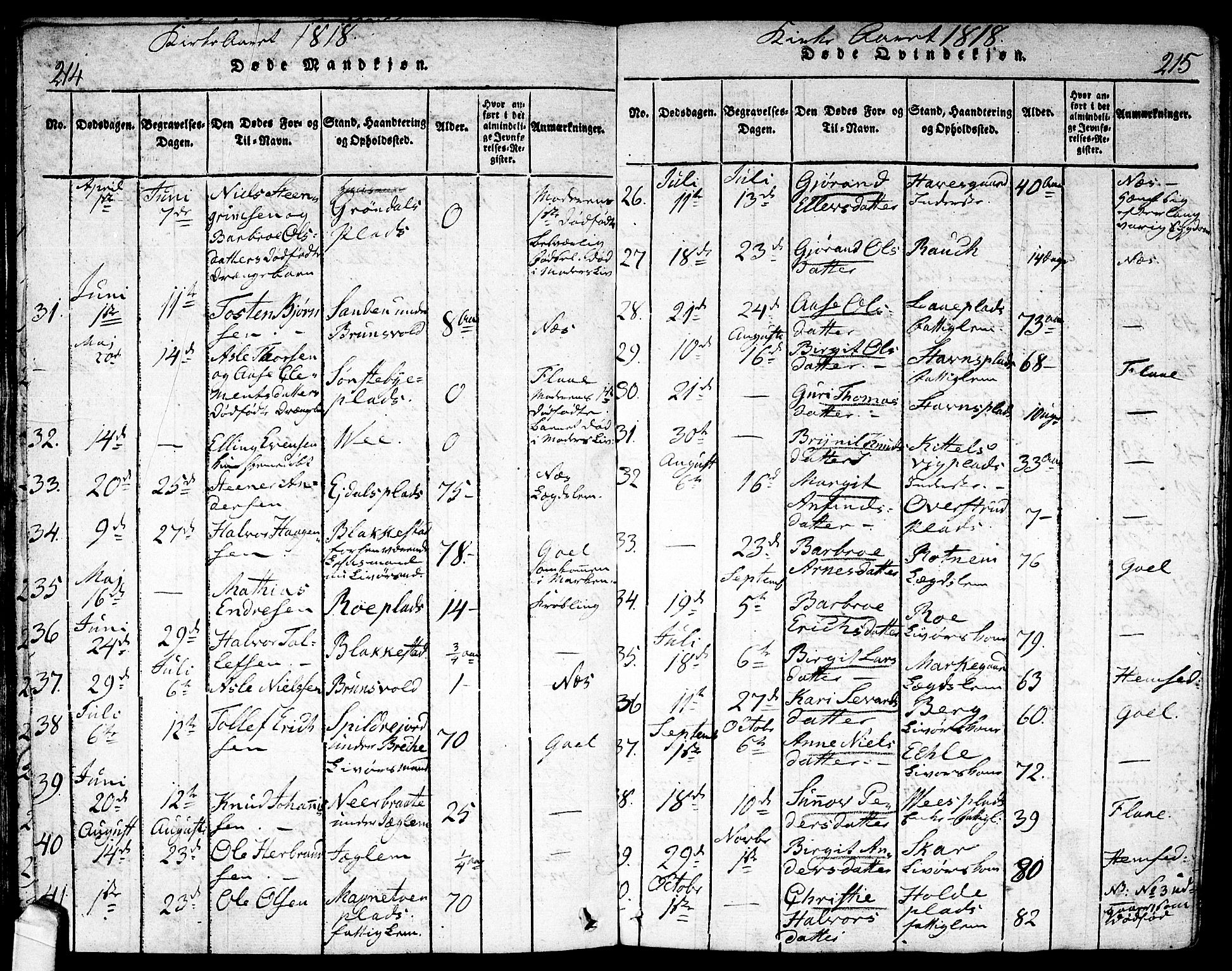 Nes kirkebøker, AV/SAKO-A-236/F/Fa/L0007: Parish register (official) no. 7, 1815-1823, p. 214-215