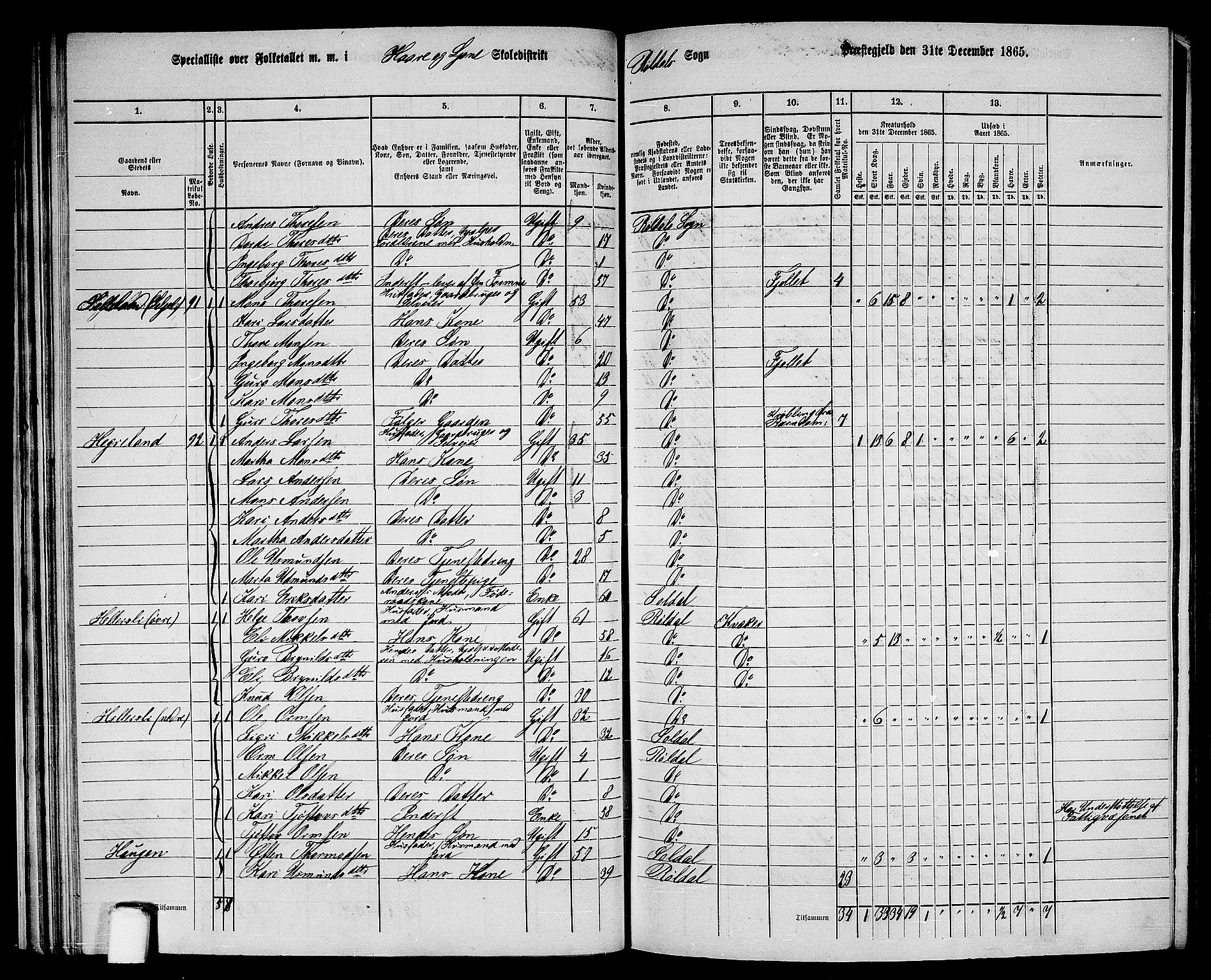 RA, 1865 census for Suldal, 1865, p. 165