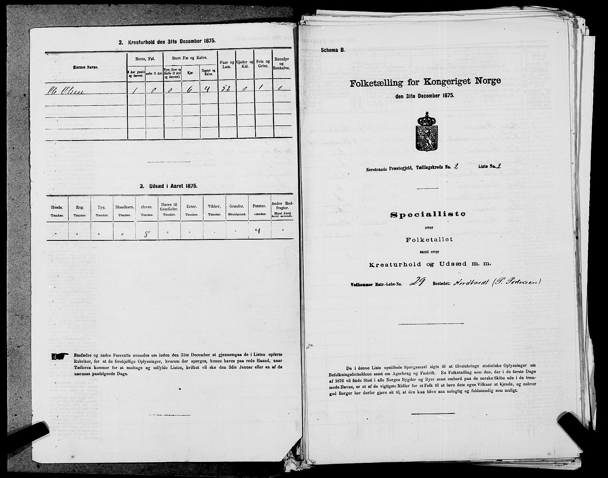 SAST, 1875 census for 1139P Nedstrand, 1875, p. 551