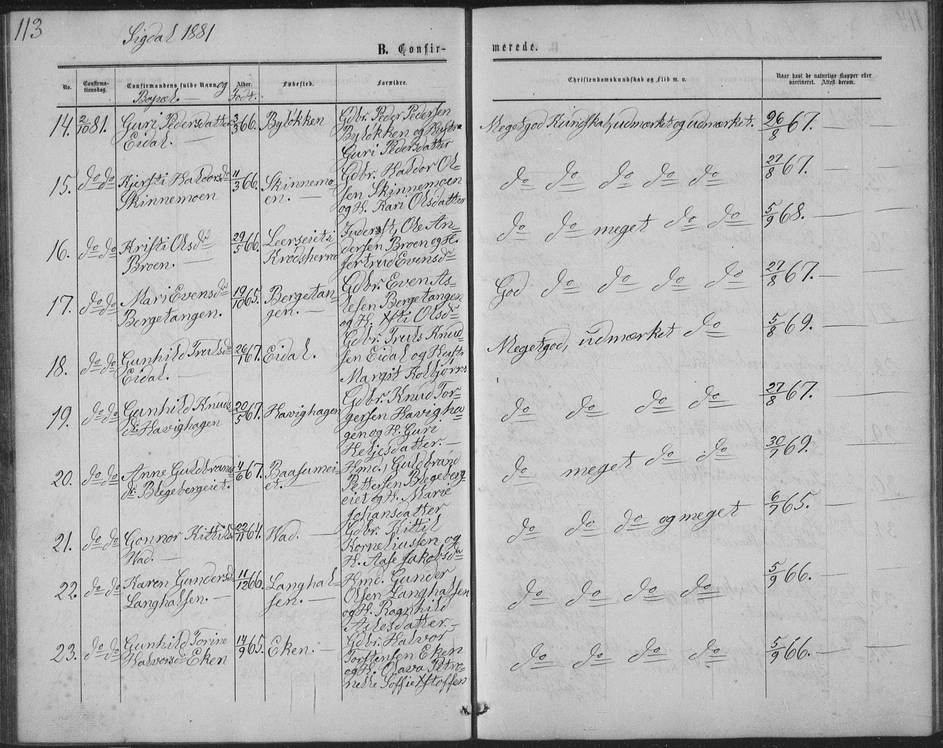 Sigdal kirkebøker, AV/SAKO-A-245/G/Ga/L0004: Parish register (copy) no. I 4, 1879-1885, p. 113