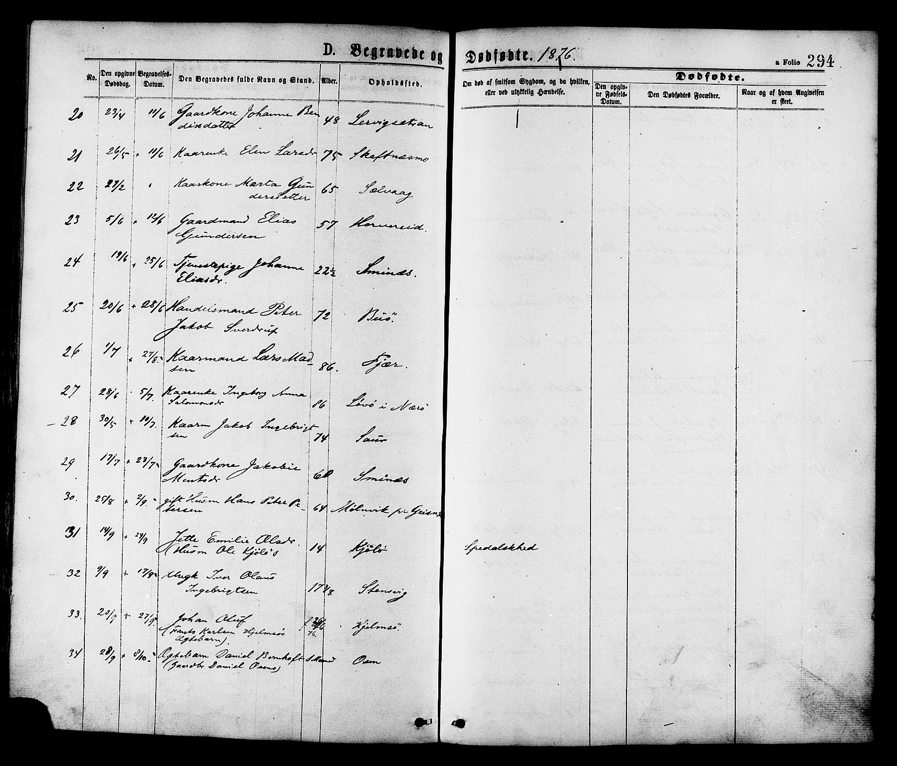 Ministerialprotokoller, klokkerbøker og fødselsregistre - Nord-Trøndelag, SAT/A-1458/780/L0642: Parish register (official) no. 780A07 /1, 1874-1885, p. 294