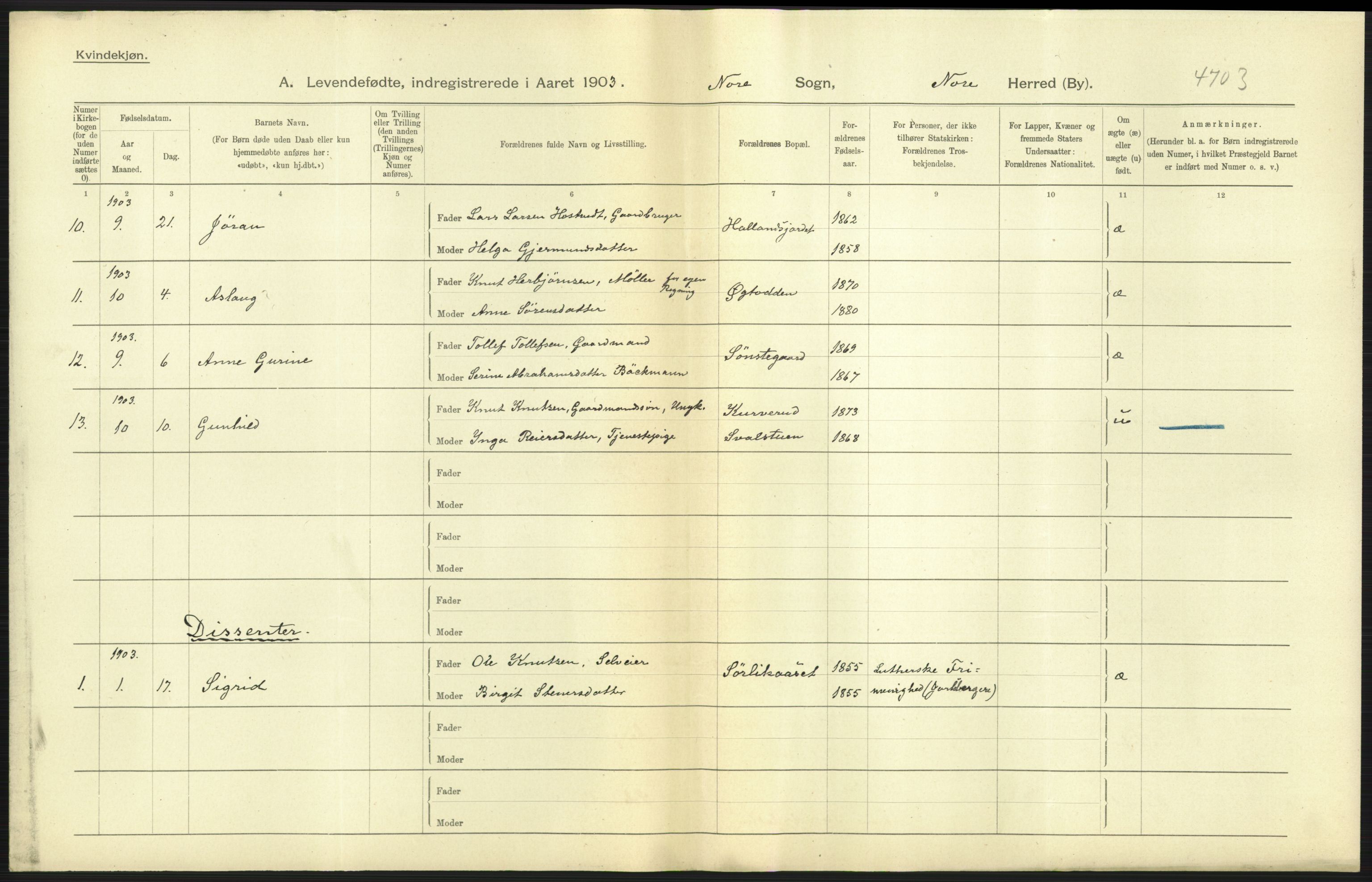 Statistisk sentralbyrå, Sosiodemografiske emner, Befolkning, AV/RA-S-2228/D/Df/Dfa/Dfaa/L0007: Buskeruds amt: Fødte, gifte, døde, 1903, p. 13