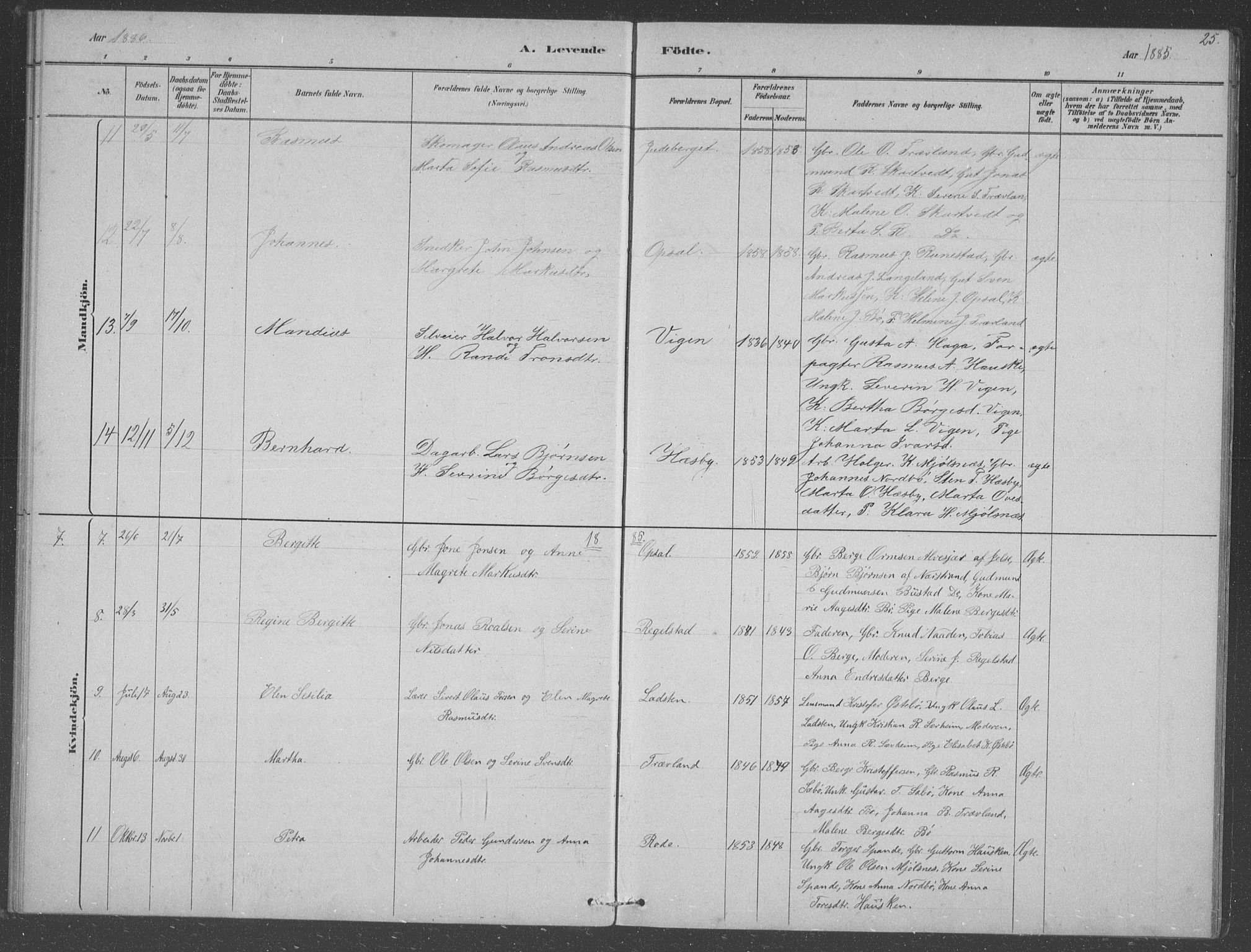 Finnøy sokneprestkontor, AV/SAST-A-101825/H/Ha/Hab/L0003: Parish register (copy) no. B 3, 1879-1899, p. 25