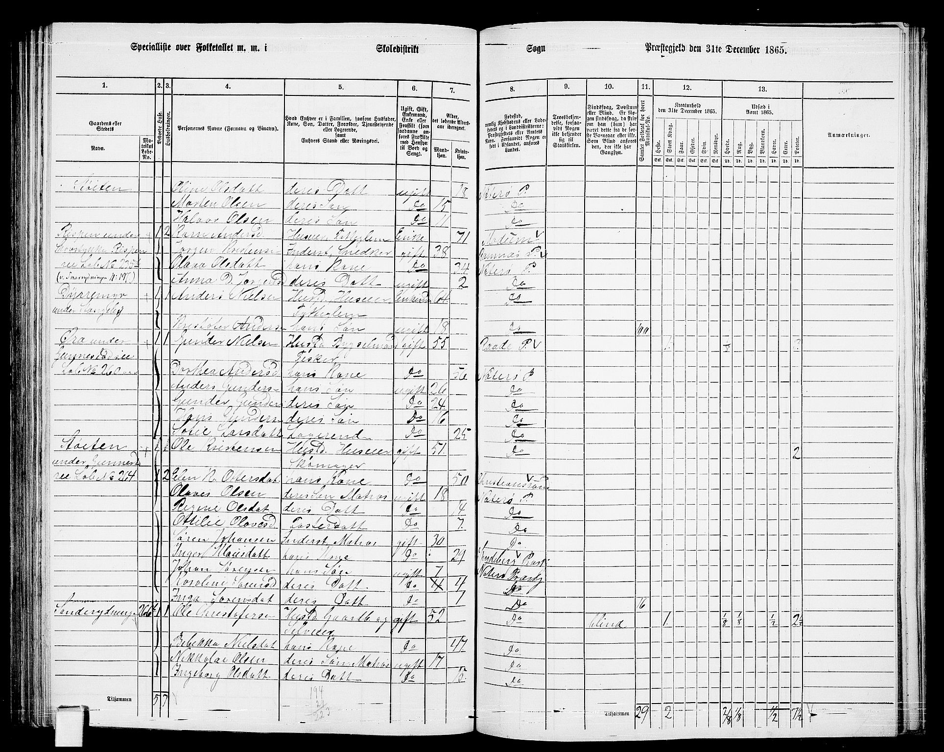 RA, 1865 census for Nøtterøy, 1865, p. 175