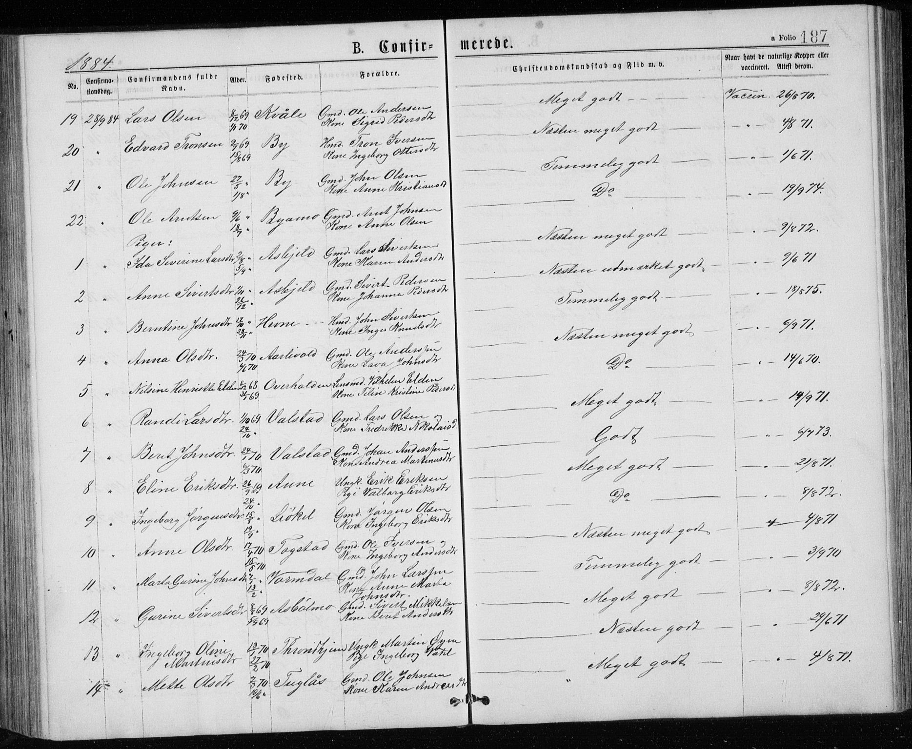 Ministerialprotokoller, klokkerbøker og fødselsregistre - Sør-Trøndelag, AV/SAT-A-1456/671/L0843: Parish register (copy) no. 671C02, 1873-1892, p. 187