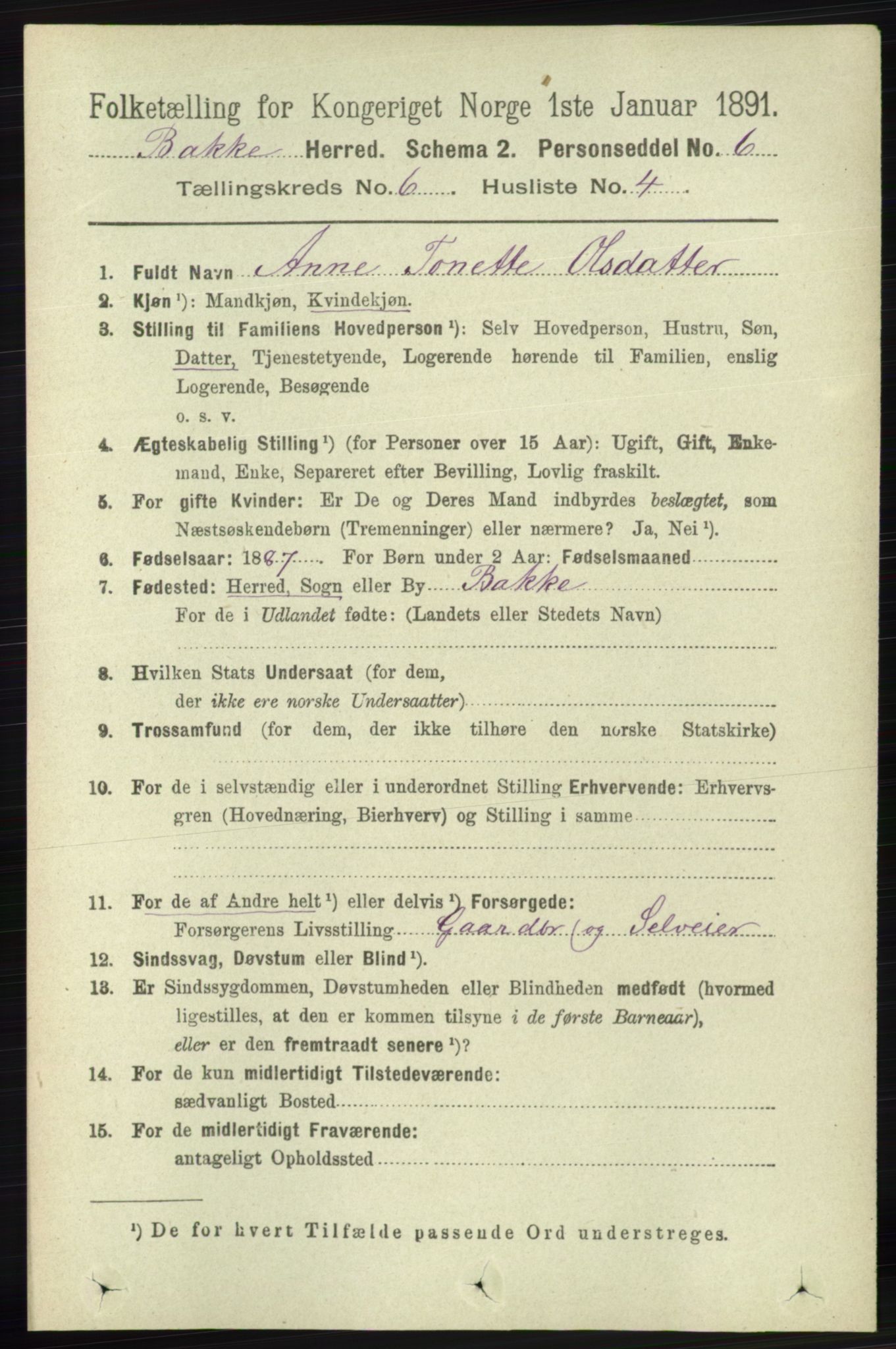 RA, 1891 census for 1045 Bakke, 1891, p. 1195