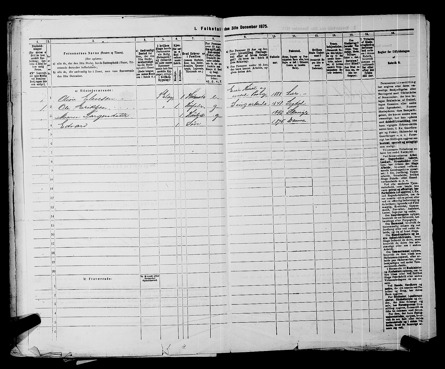 SAKO, 1875 census for 0602 Drammen, 1875, p. 173