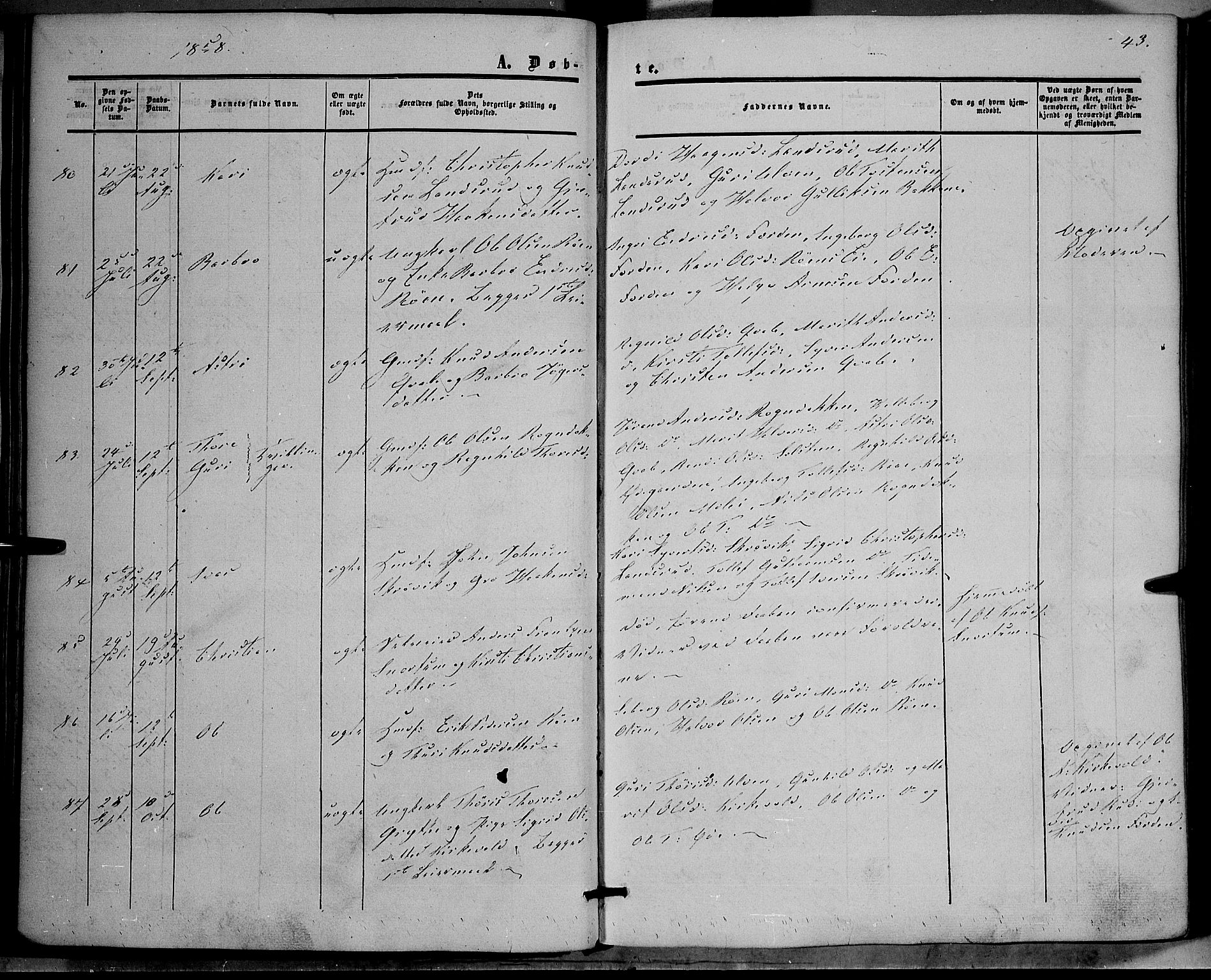 Vestre Slidre prestekontor, SAH/PREST-136/H/Ha/Haa/L0002: Parish register (official) no. 2, 1856-1864, p. 43