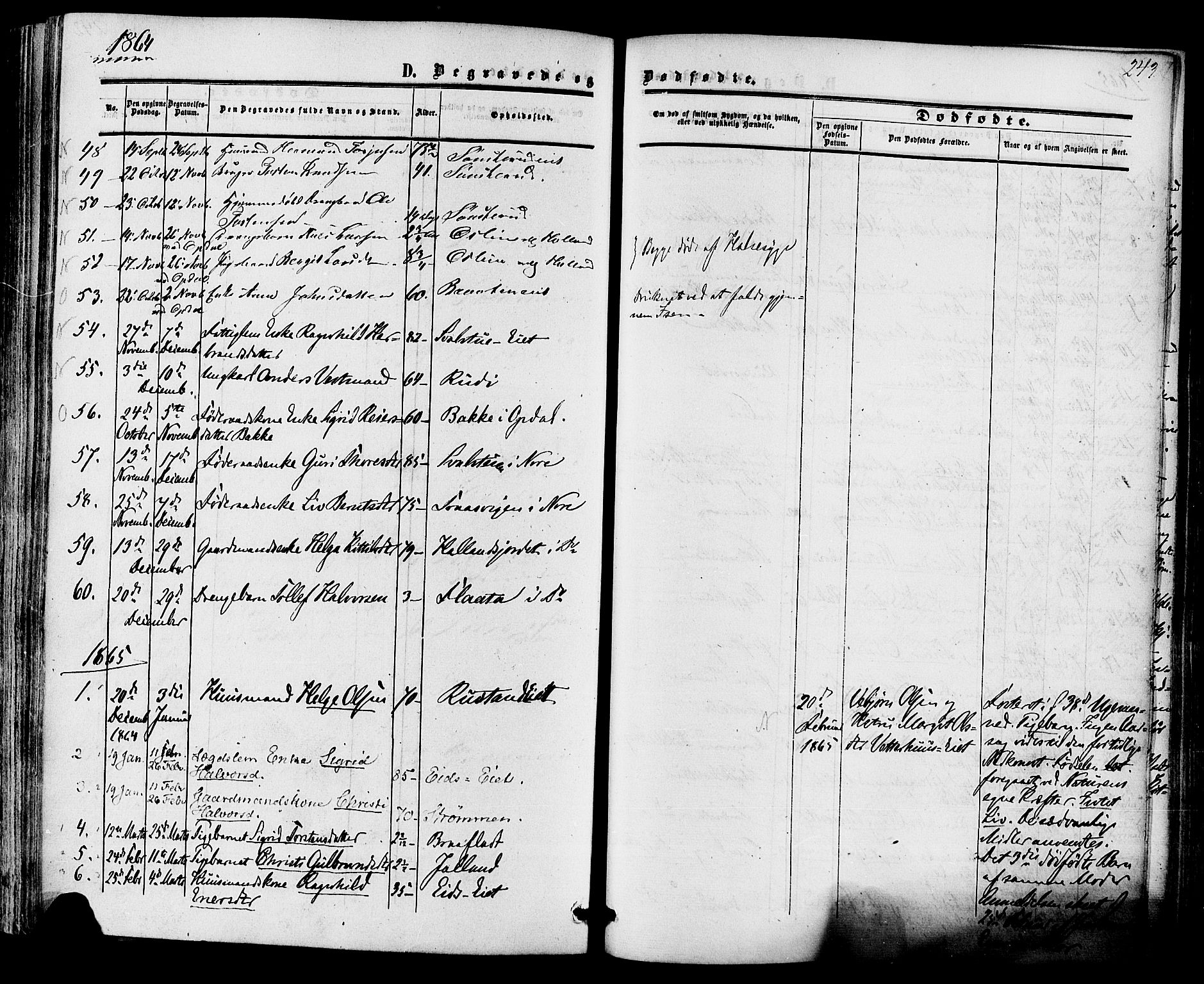 Nore kirkebøker, SAKO/A-238/F/Fa/L0003: Parish register (official) no. I 3, 1858-1866, p. 243