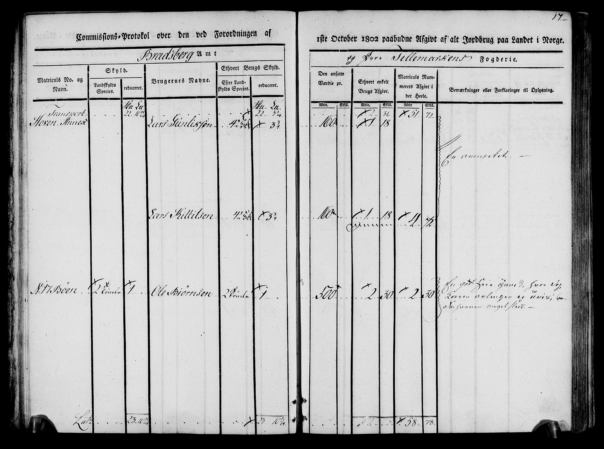 Rentekammeret inntil 1814, Realistisk ordnet avdeling, AV/RA-EA-4070/N/Ne/Nea/L0074: Øvre Telemarken fogderi. Kommisjonsprotokoll for fogderiets østre del - Tinn, Hjartdal og Seljord prestegjeld., 1803, p. 17