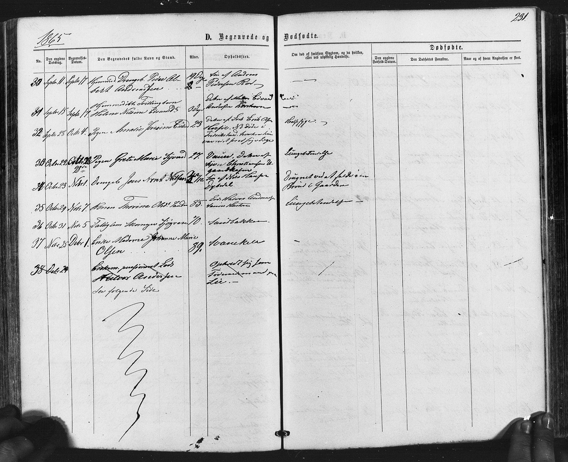 Hvaler prestekontor Kirkebøker, AV/SAO-A-2001/F/Fa/L0007: Parish register (official) no. I 7, 1864-1878, p. 231