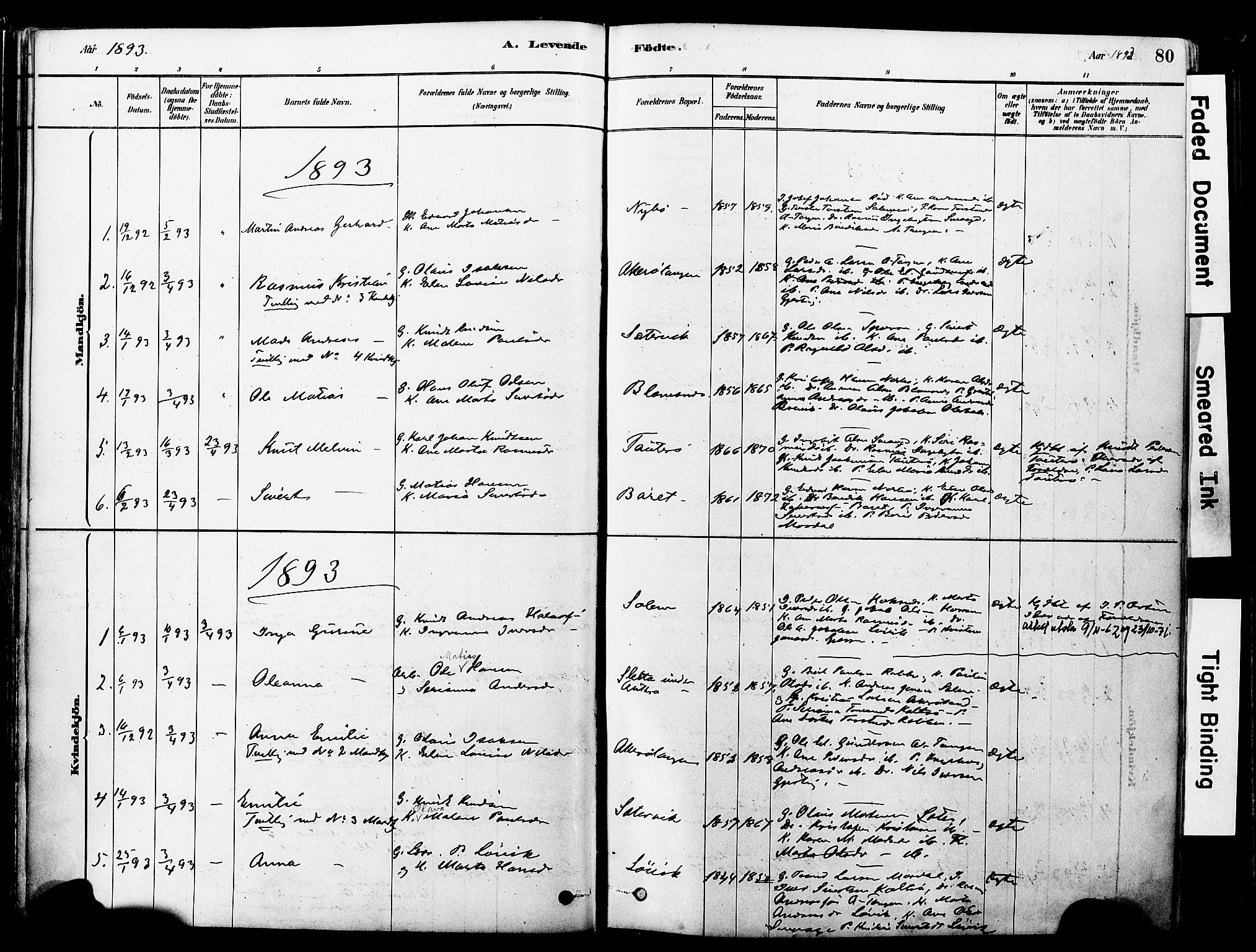 Ministerialprotokoller, klokkerbøker og fødselsregistre - Møre og Romsdal, SAT/A-1454/560/L0721: Parish register (official) no. 560A05, 1878-1917, p. 80