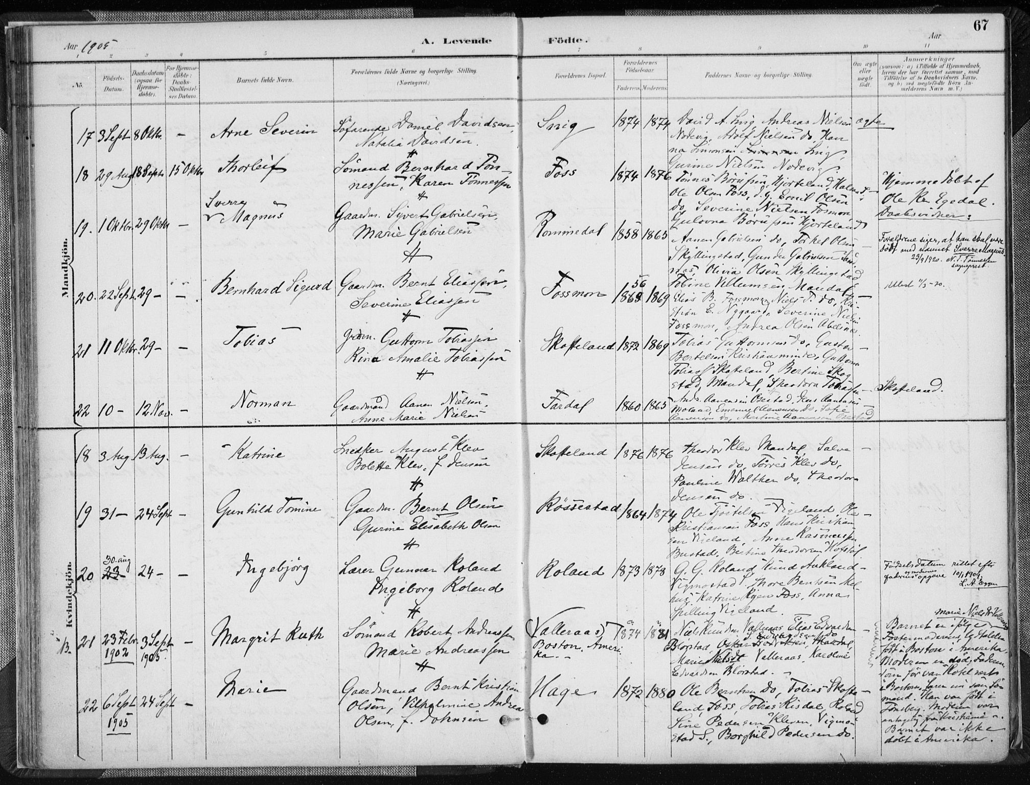 Sør-Audnedal sokneprestkontor, AV/SAK-1111-0039/F/Fa/Fab/L0010: Parish register (official) no. A 10, 1892-1913, p. 67