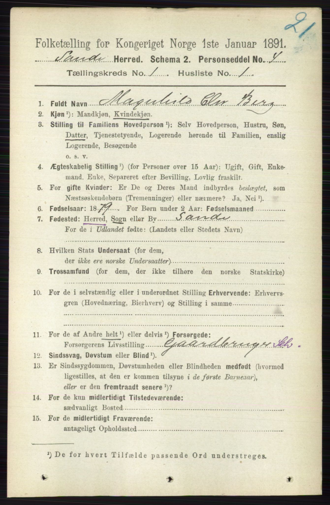 RA, 1891 census for 0713 Sande, 1891, p. 96