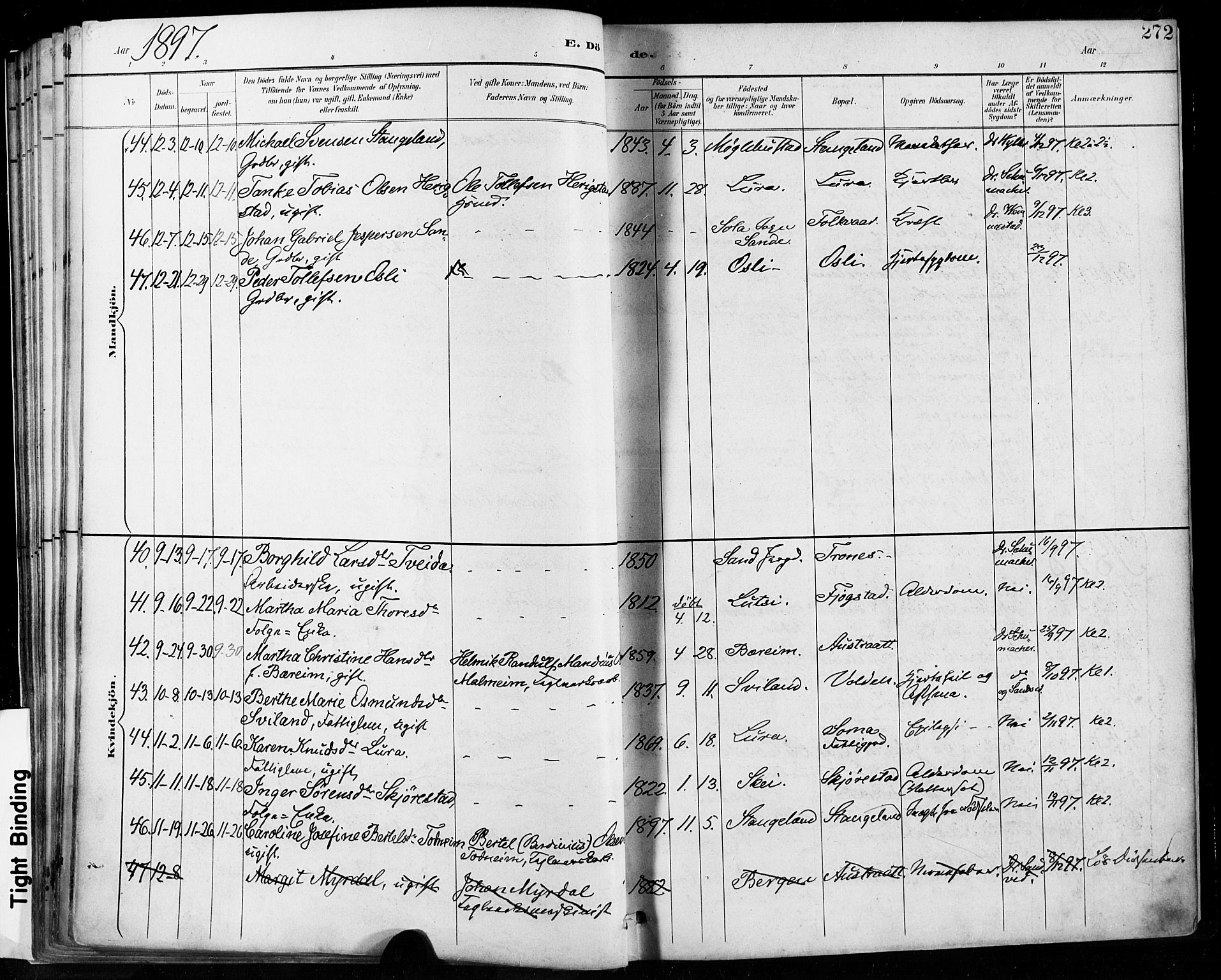 Høyland sokneprestkontor, SAST/A-101799/001/30BA/L0013: Parish register (official) no. A 13.2, 1889-1898, p. 272