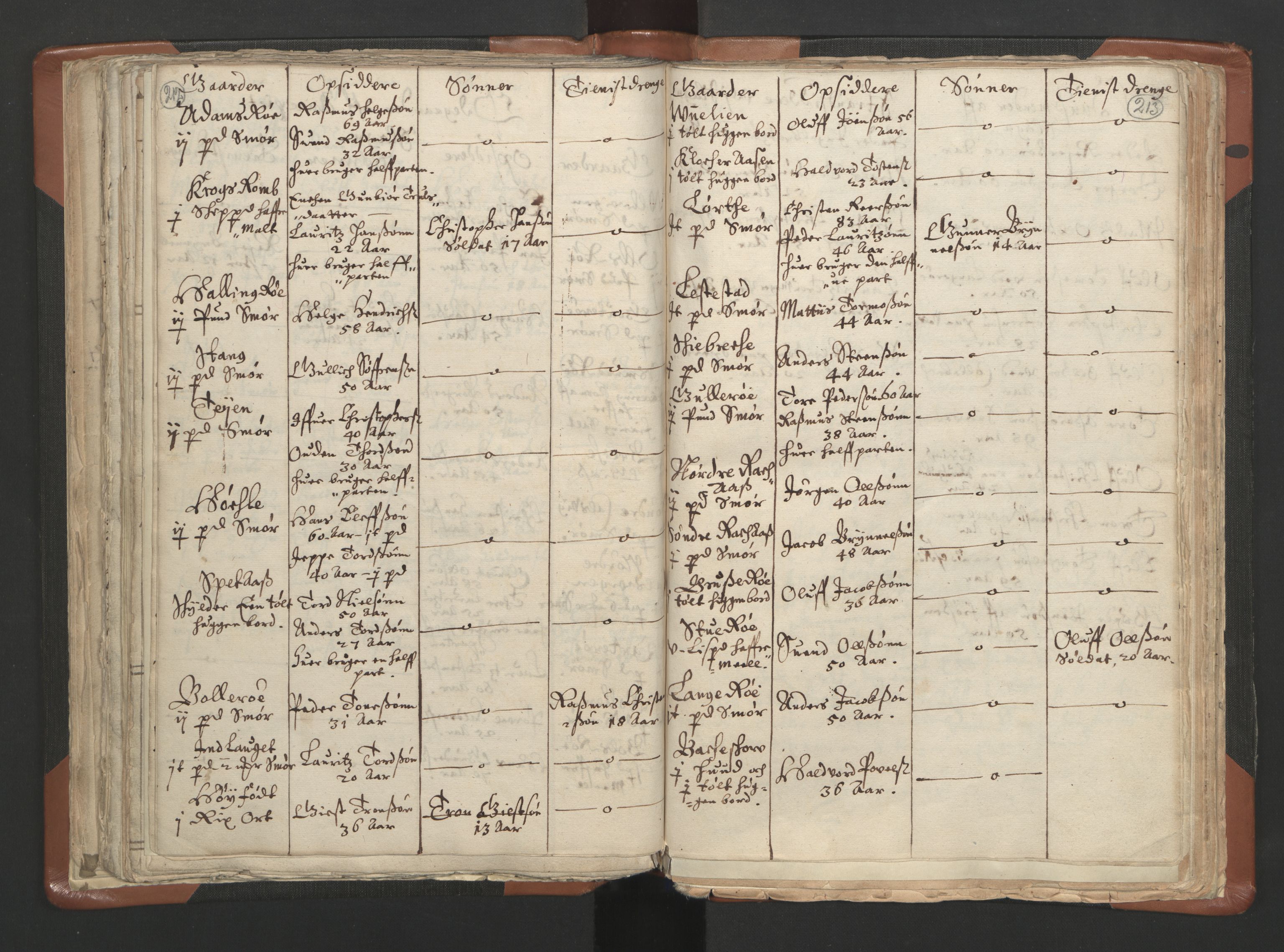 RA, Vicar's Census 1664-1666, no. 10: Tønsberg deanery, 1664-1666, p. 212-213