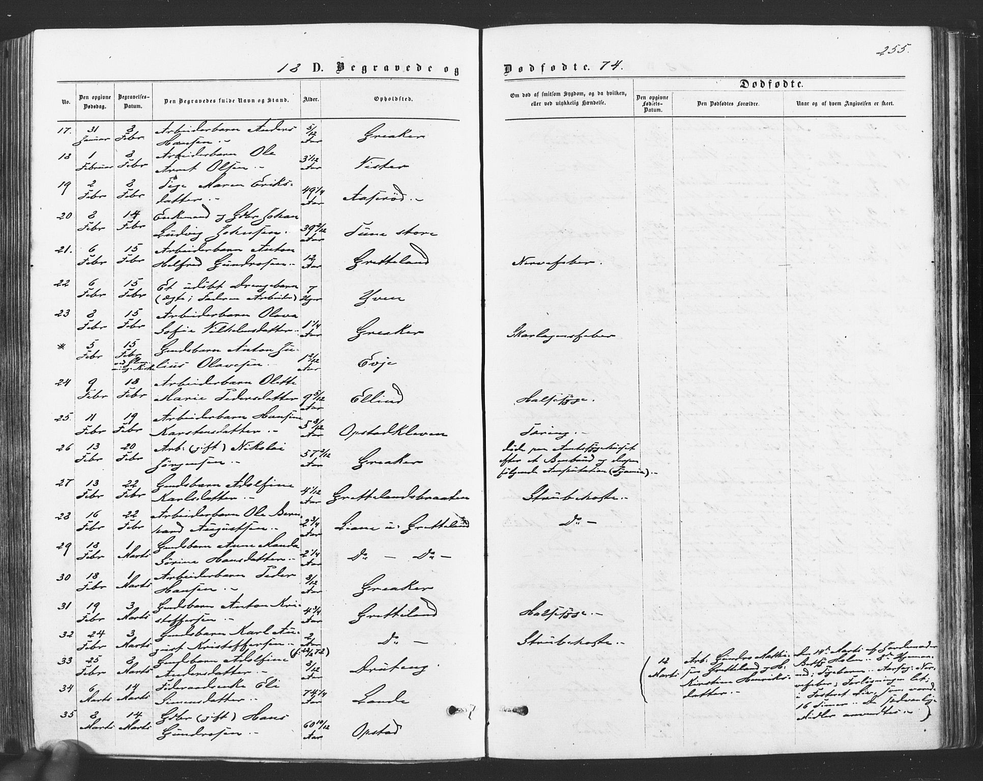 Tune prestekontor Kirkebøker, SAO/A-2007/F/Fa/L0016: Parish register (official) no. 16, 1874-1877, p. 255
