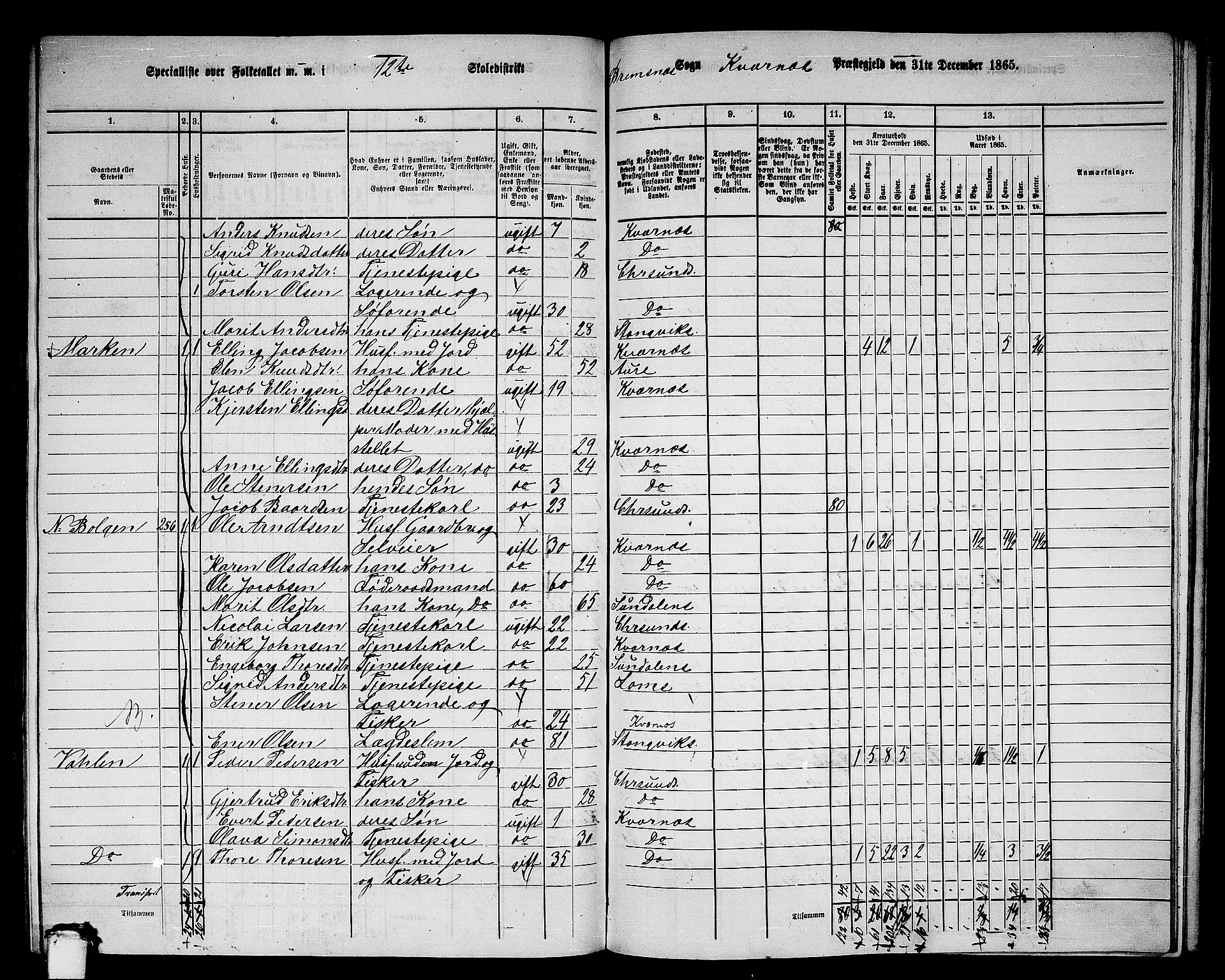 RA, 1865 census for Kvernes, 1865, p. 218