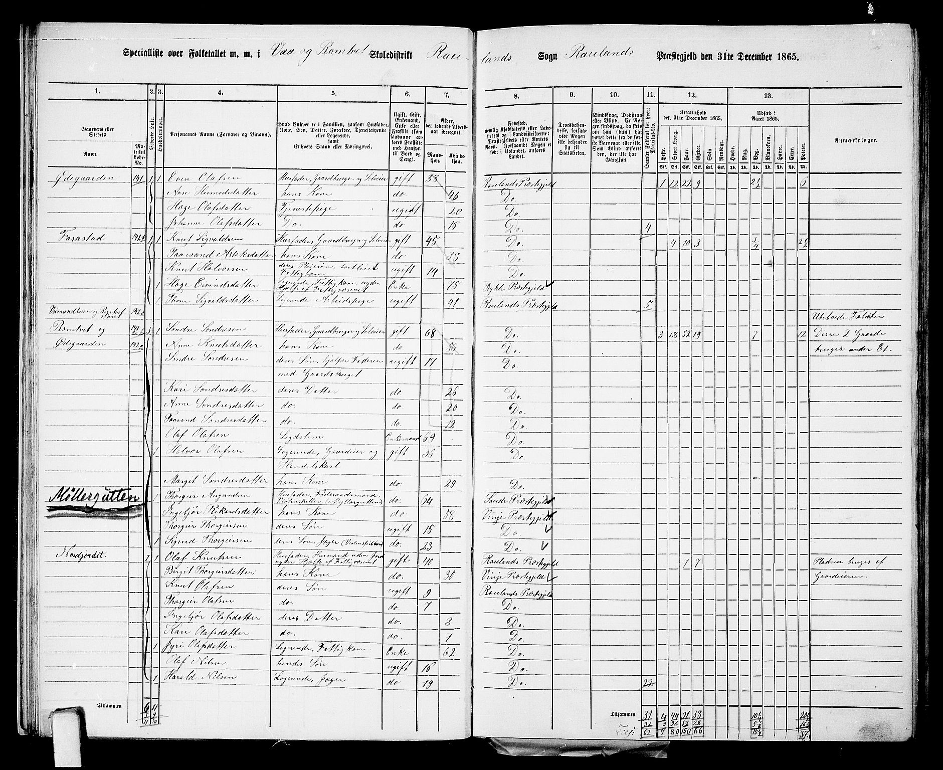 RA, 1865 census for Rauland, 1865, p. 24