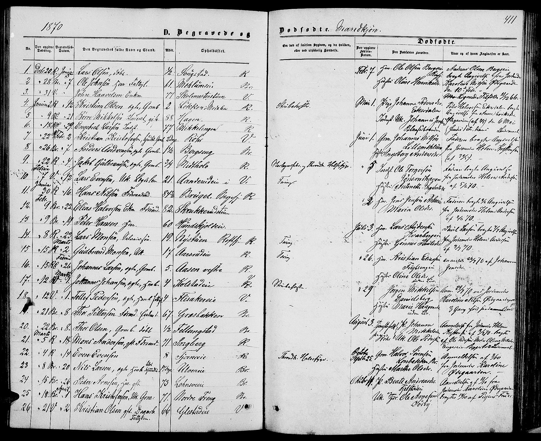 Ringsaker prestekontor, SAH/PREST-014/L/La/L0008: Parish register (copy) no. 8, 1870-1878, p. 411