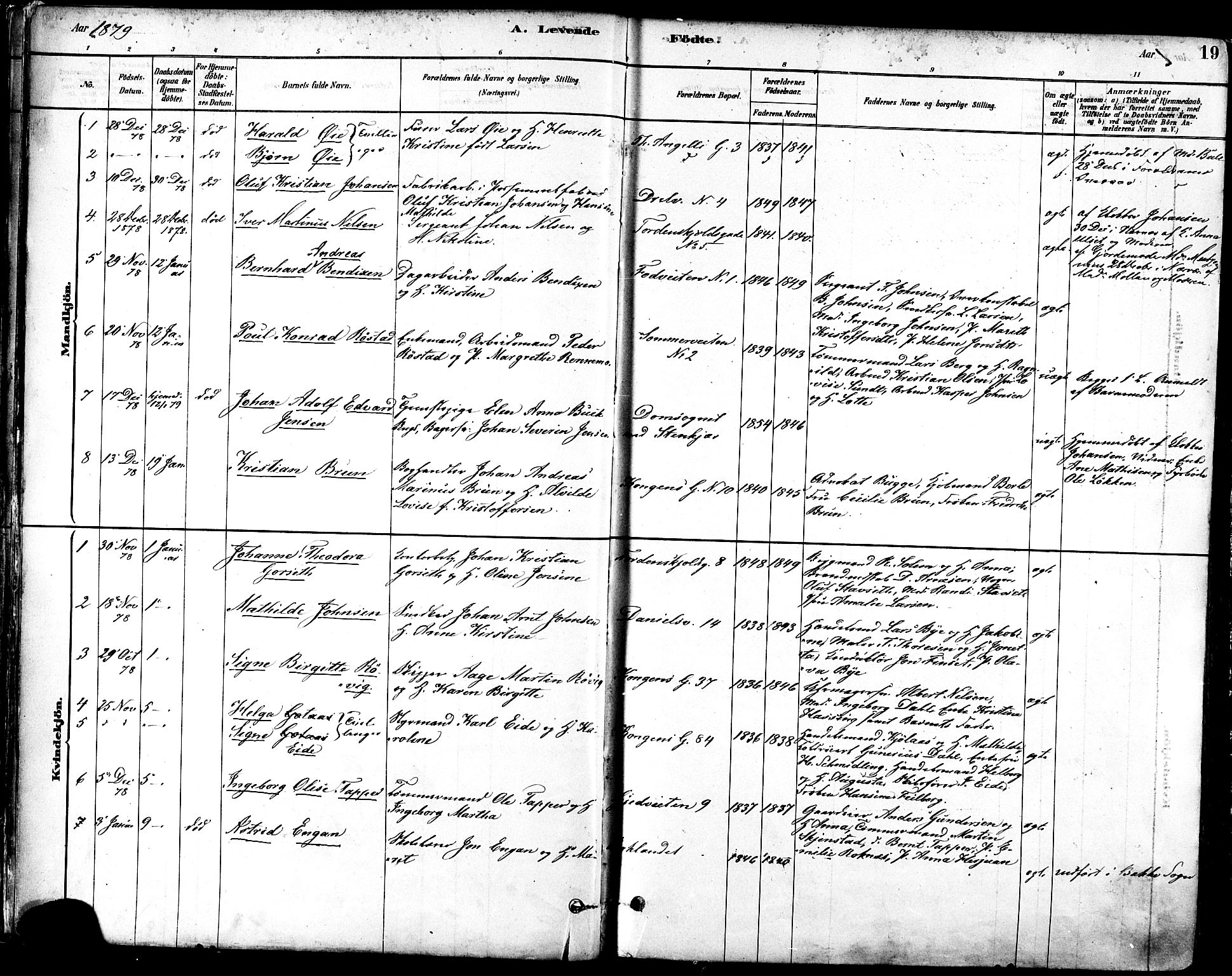 Ministerialprotokoller, klokkerbøker og fødselsregistre - Sør-Trøndelag, SAT/A-1456/601/L0057: Parish register (official) no. 601A25, 1877-1891, p. 19