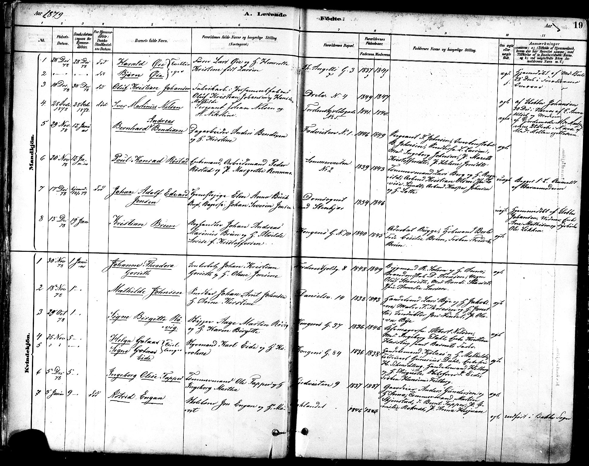 Ministerialprotokoller, klokkerbøker og fødselsregistre - Sør-Trøndelag, AV/SAT-A-1456/601/L0057: Parish register (official) no. 601A25, 1877-1891, p. 19