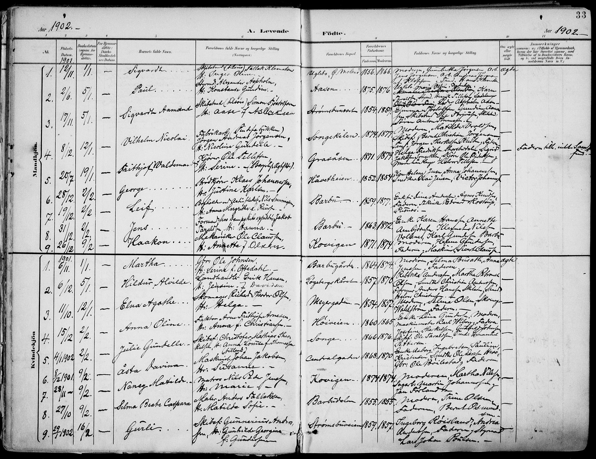 Barbu sokneprestkontor, SAK/1111-0003/F/Fa/L0005: Parish register (official) no. A 5, 1899-1909, p. 33